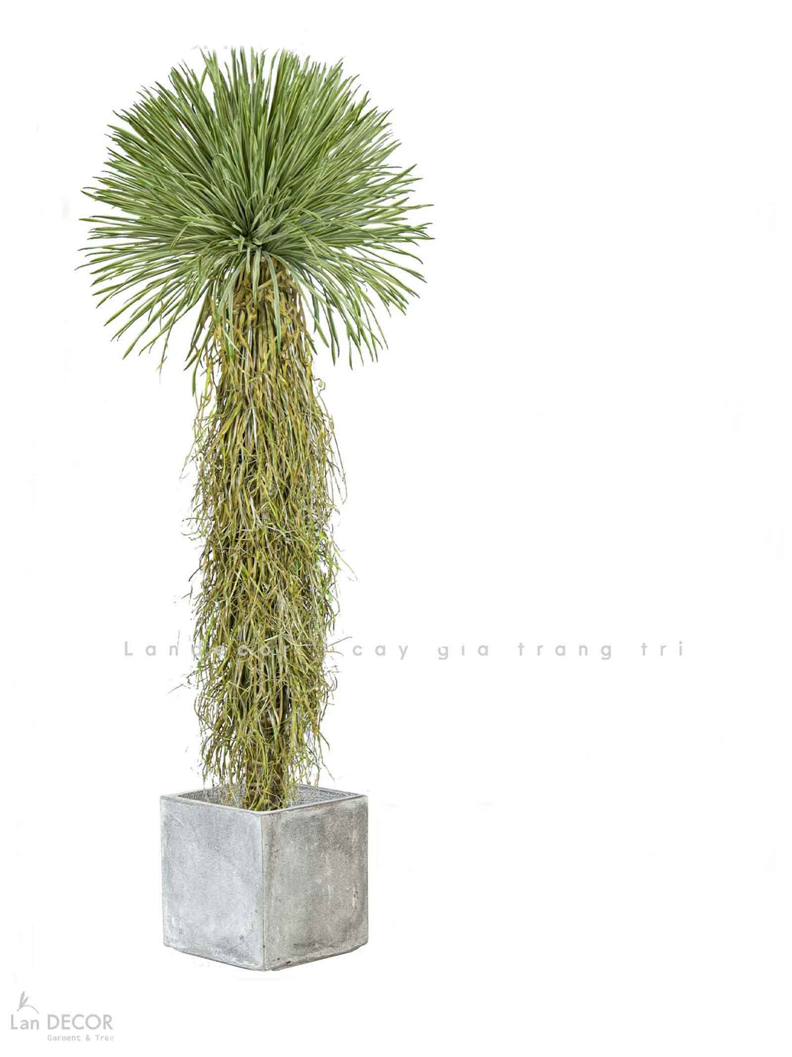 Cây Giả Decor - Cây Yucca Giả Decor Phong Cách Nhiệt Đới (180cm)- LC3854