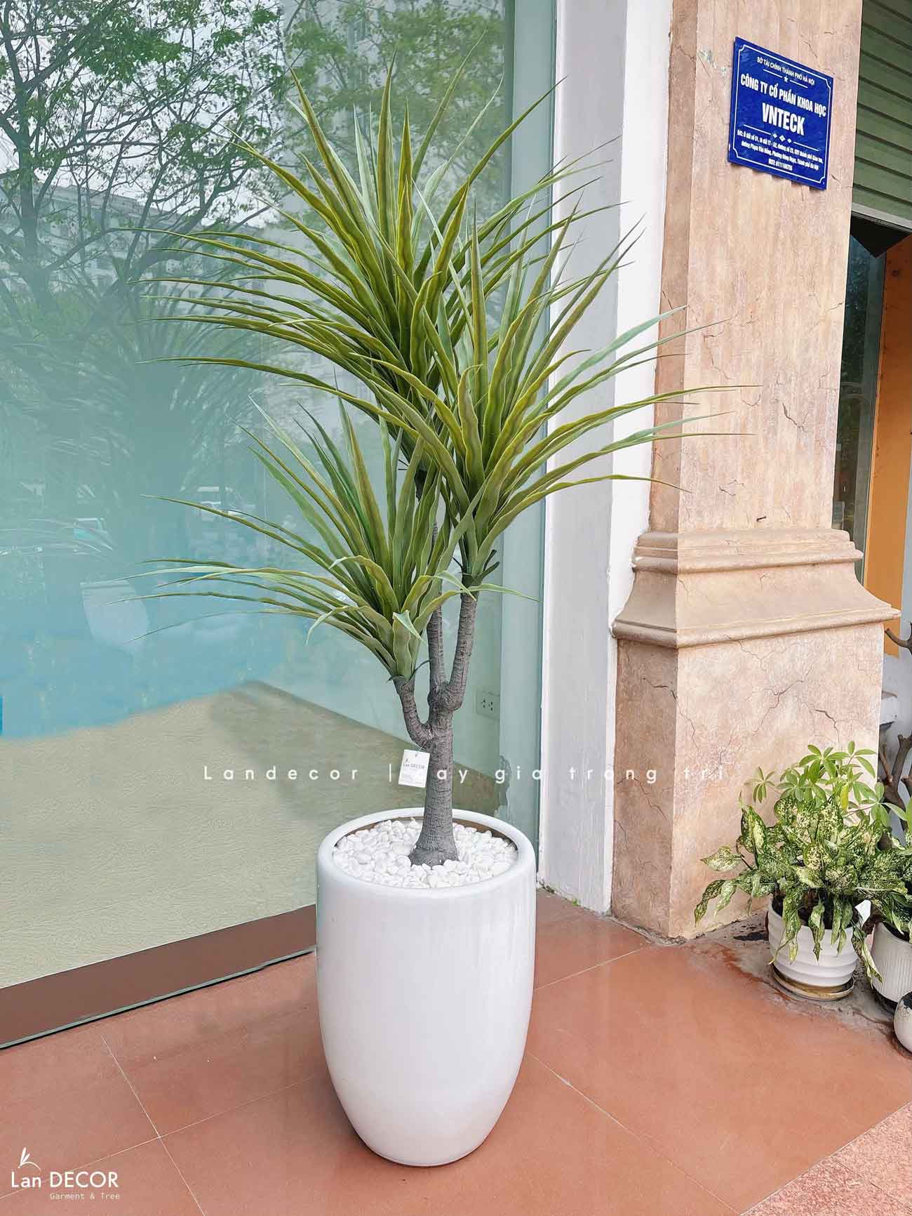 Cây Giả- Cây Yucca Giả Thiết Kế Không Gian Xanh (135cm)- LC3357