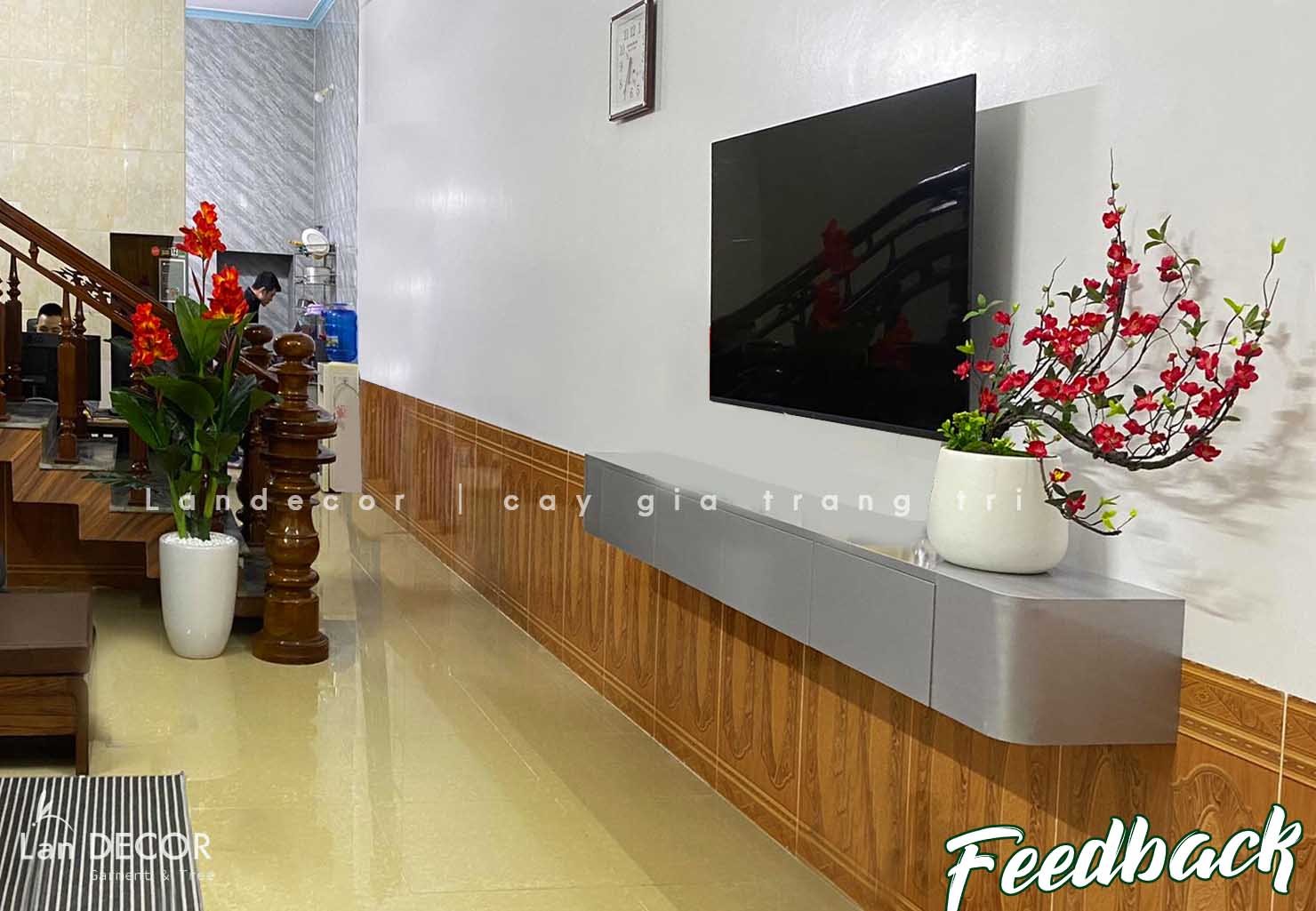 CHẬU HOA MAI, ĐÀO TRANG TRÍ NGÀY TẾT ĐÓN NĂM MỚI (60cm)- BH1194