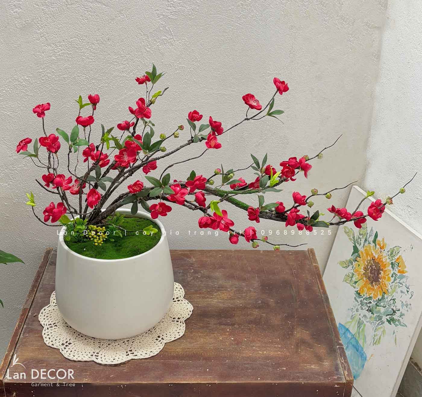 CHẬU HOA MAI, ĐÀO TRANG TRÍ NGÀY TẾT ĐÓN NĂM MỚI (60cm)- BH1194