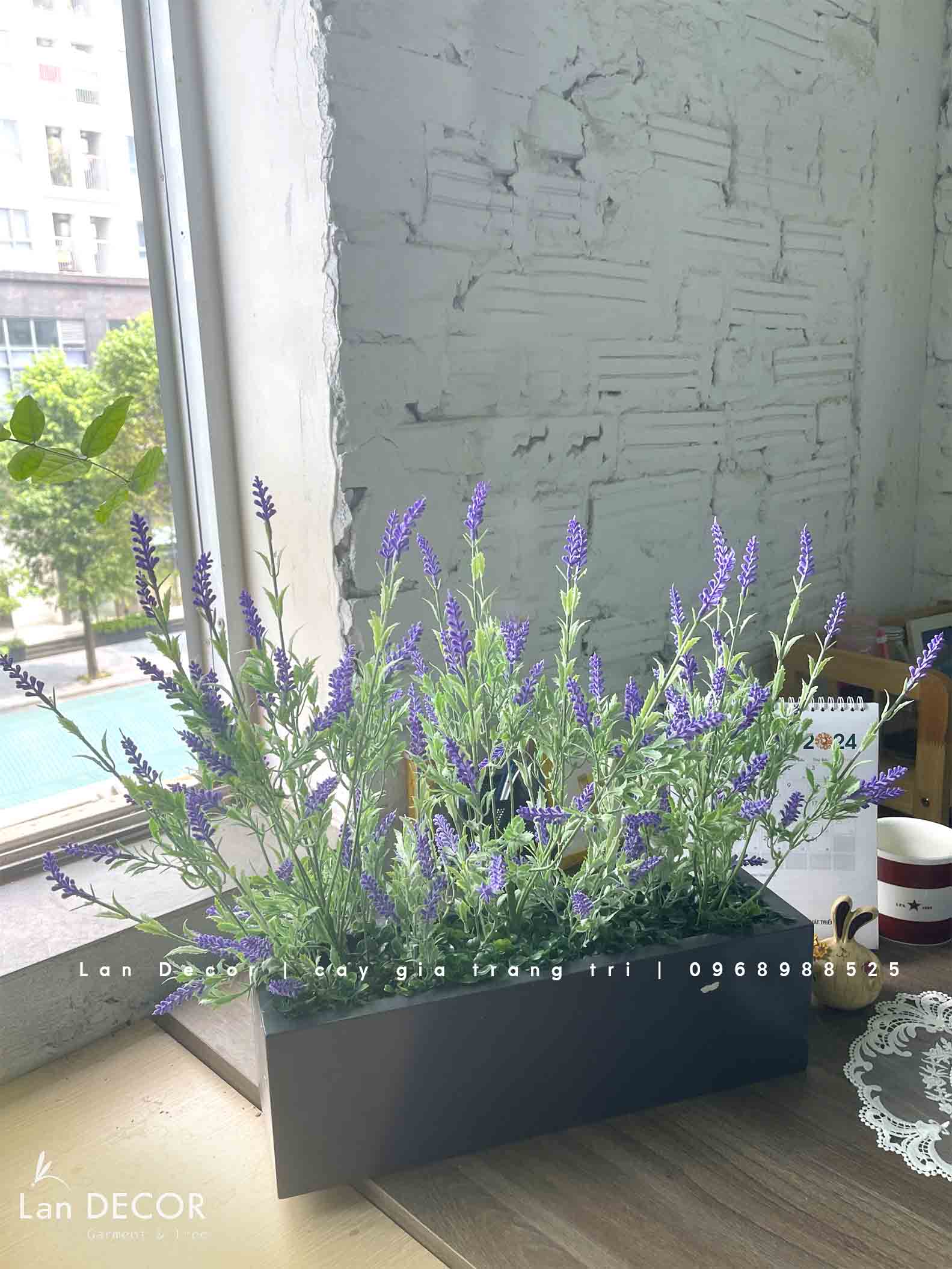 Bồn hoa oải hương decor phong cách vintage ( 40x12x45cm)- CC968