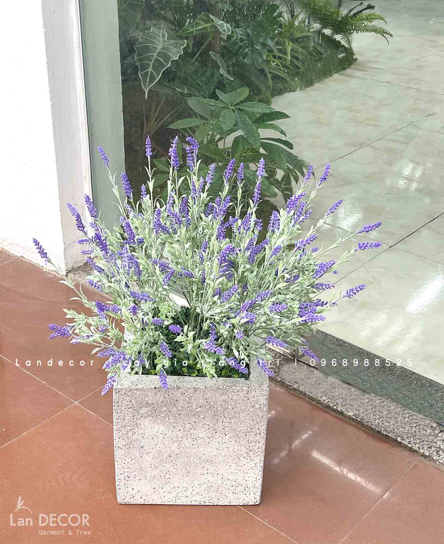 Chậu hoa oải hương decor quán cafe- CC976