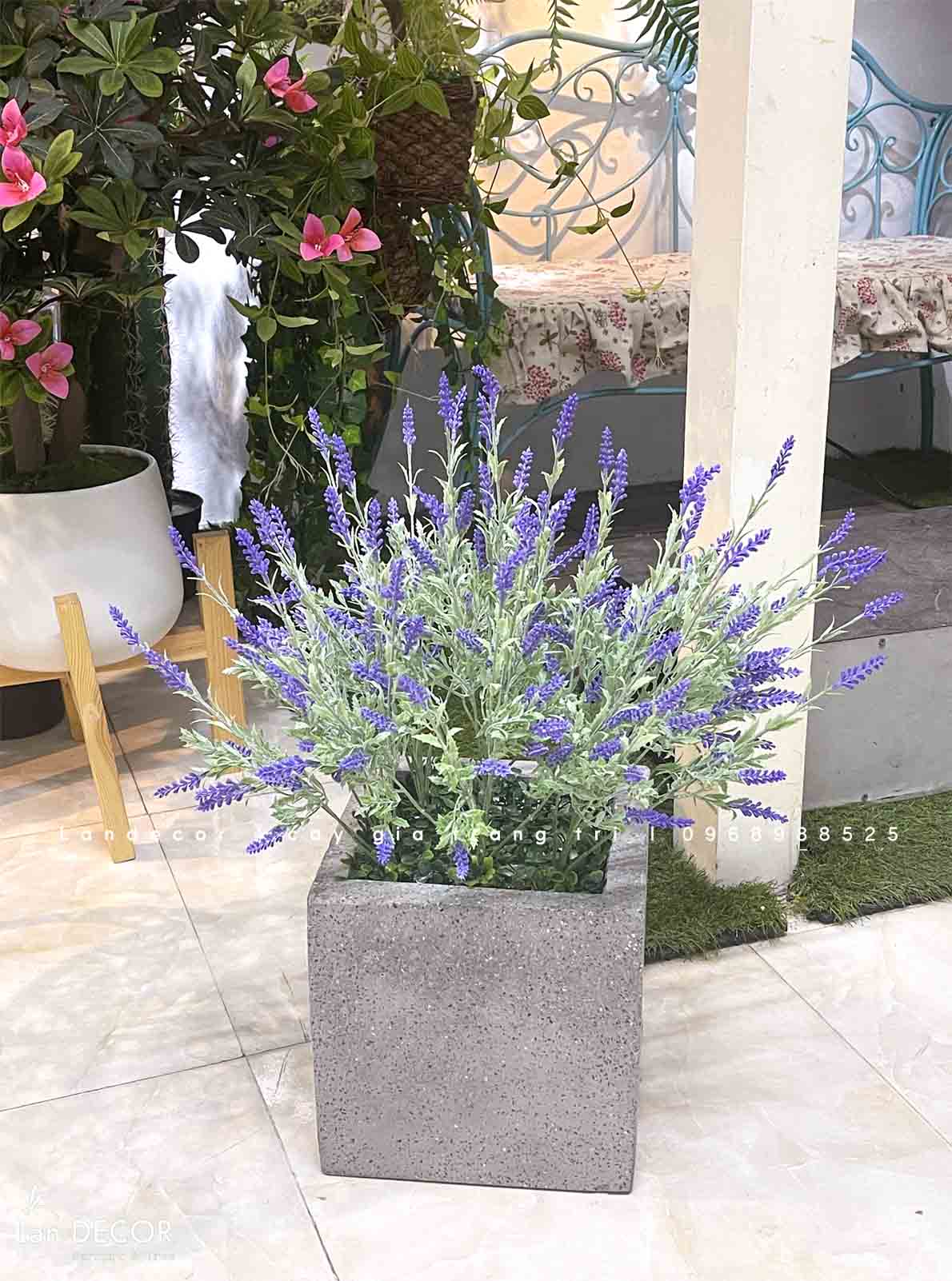 Chậu hoa oải hương decor quán cafe- CC976