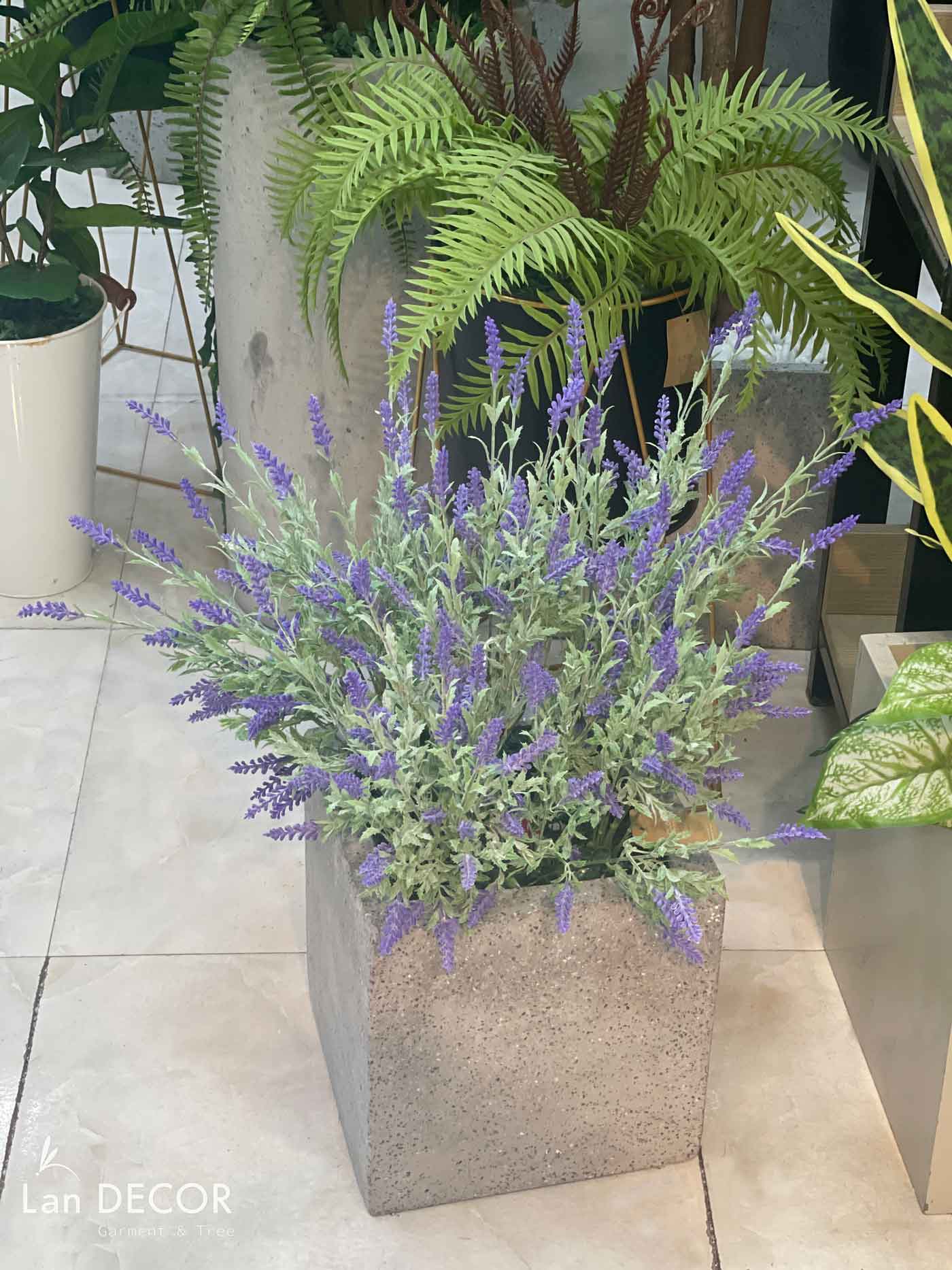 Chậu hoa oải hương decor quán cafe- CC976