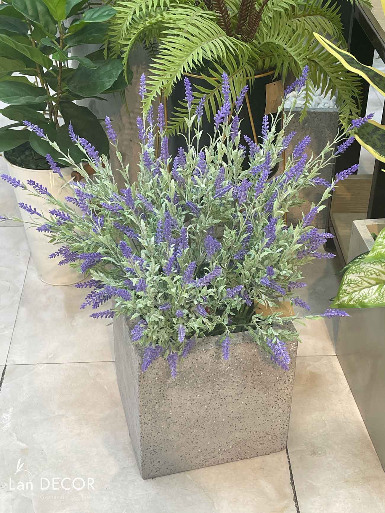 Chậu hoa oải hương decor quán cafe- CC976