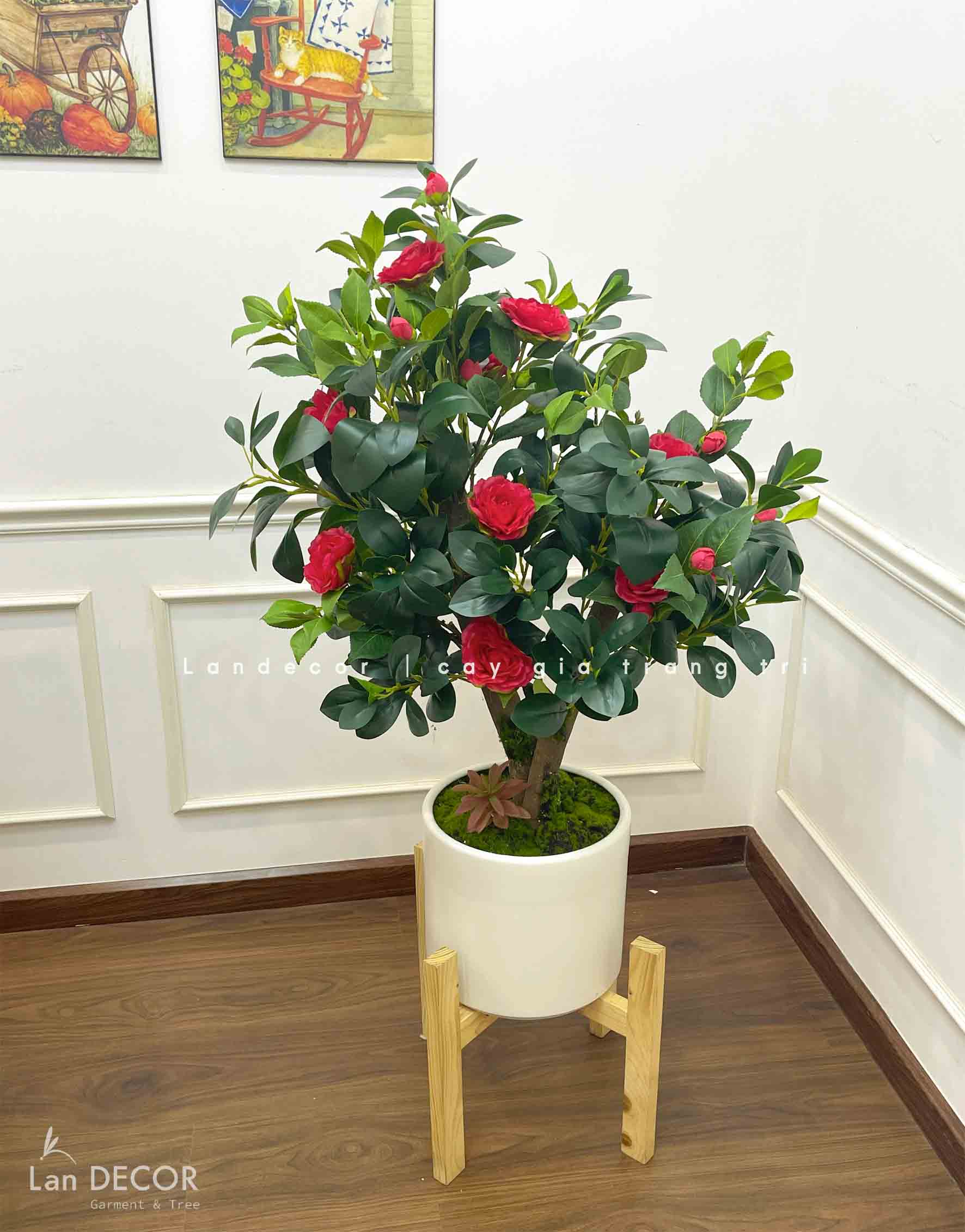 Cây Hoa Trà Đỏ Trang Trí Nhà Hiện Đại- CC962