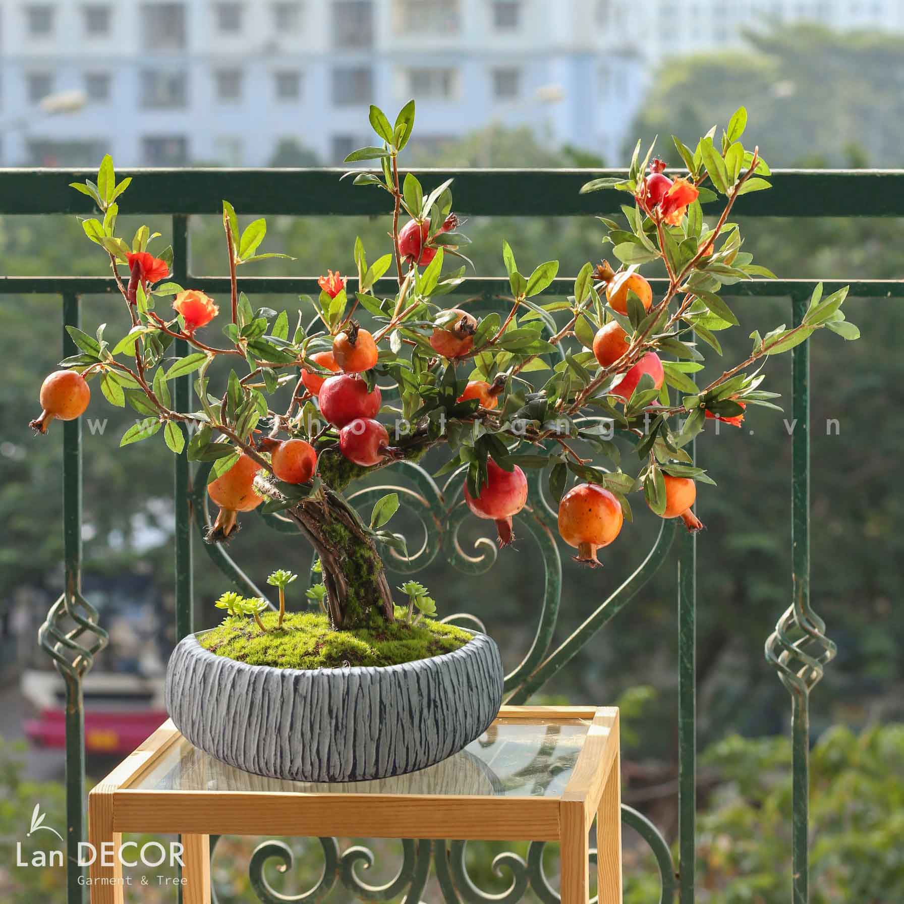 Lựu giả- Chậu Cây Lựu Bonsai Thiết Kế Không Gian- CC386-3