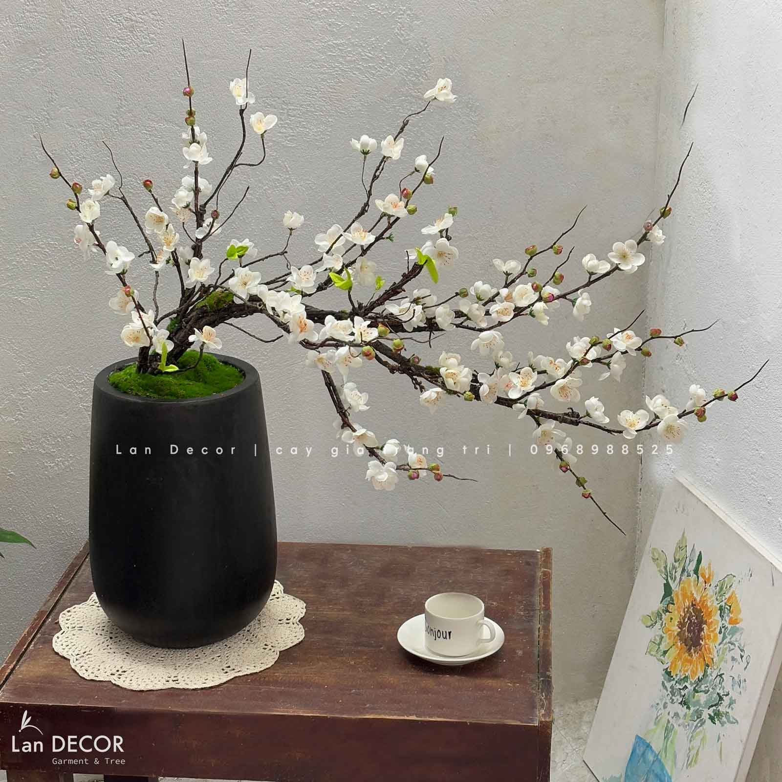 CHẬU MAI TRƯNG NGÀY TẾT ĐÓN XUÂN VỀ (80CM)- CC792