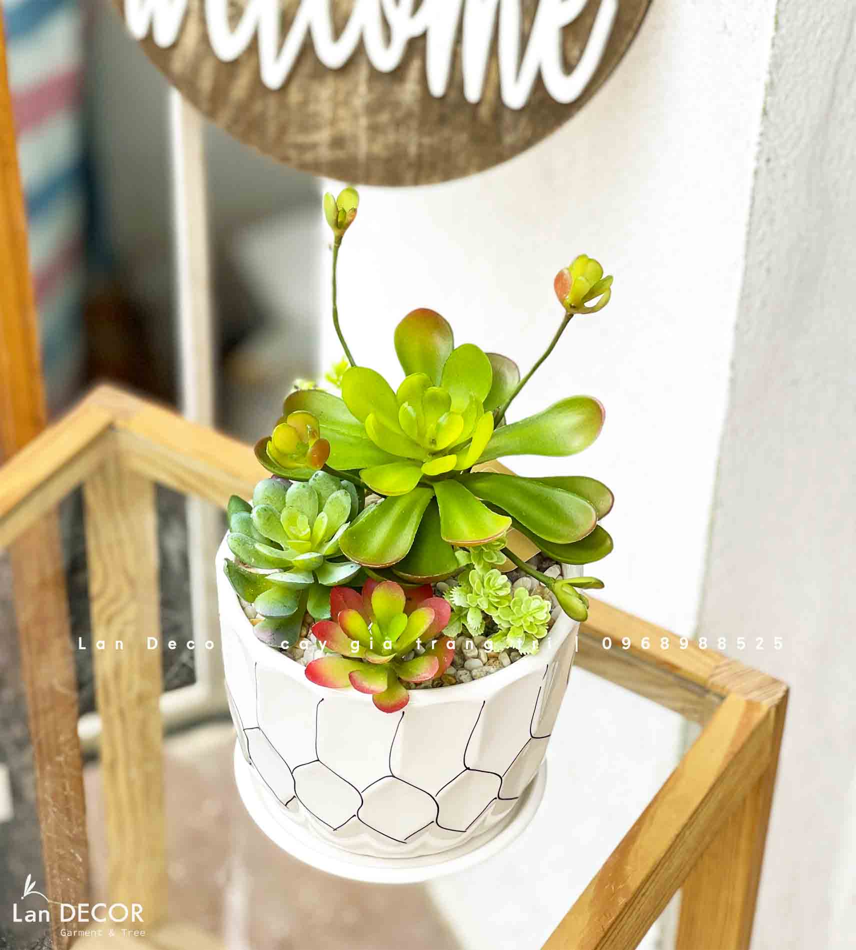 CHẬU SEN ĐÁ GIẢ TRANG TRÍ TỰ NHIÊN- CC855