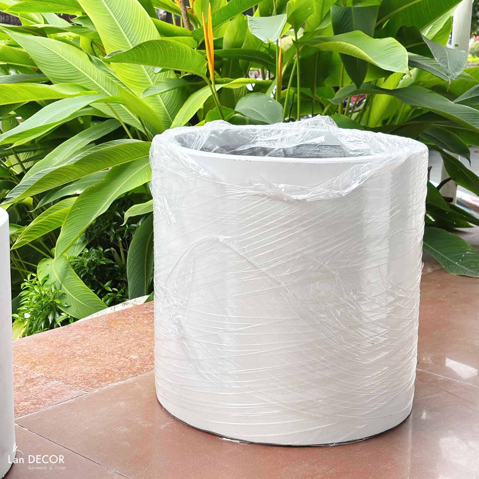 Chậu Xi Măng Trắng Trồng Cây Cảnh Giả Trang Trí - CXM038