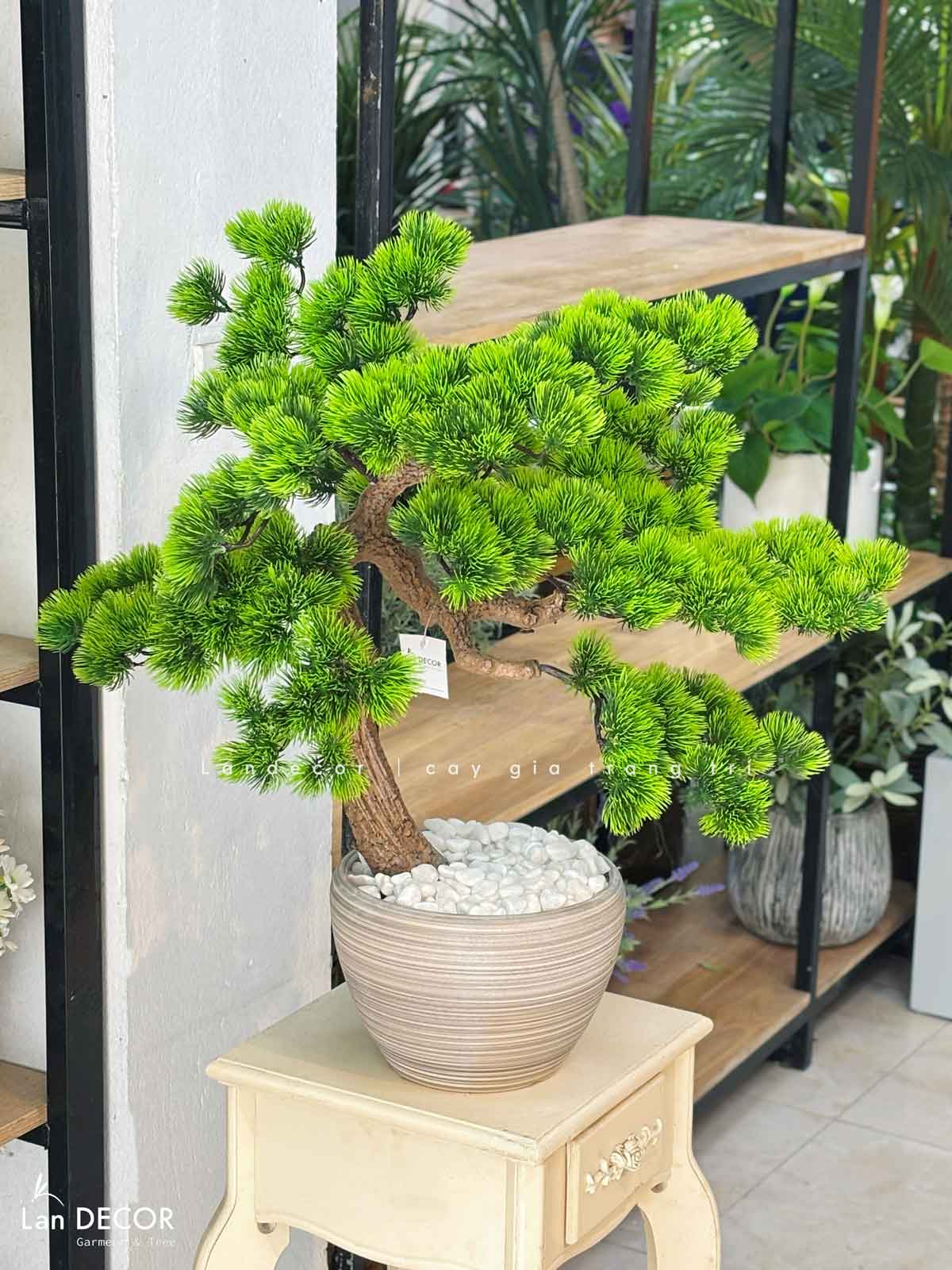 Cây Bonsai Thiết Kế - Cây Tùng Bonsai Giả Trang Trí (60cm)- CC1271