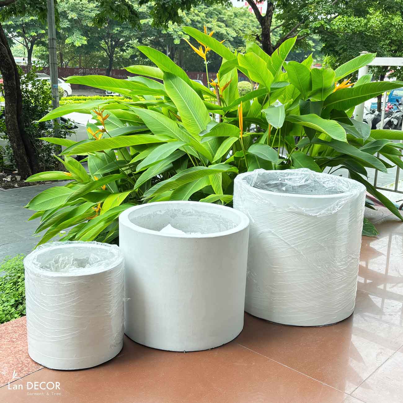 Chậu Xi Măng Trắng Trồng Cây Cảnh Giả Trang Trí - CXM038