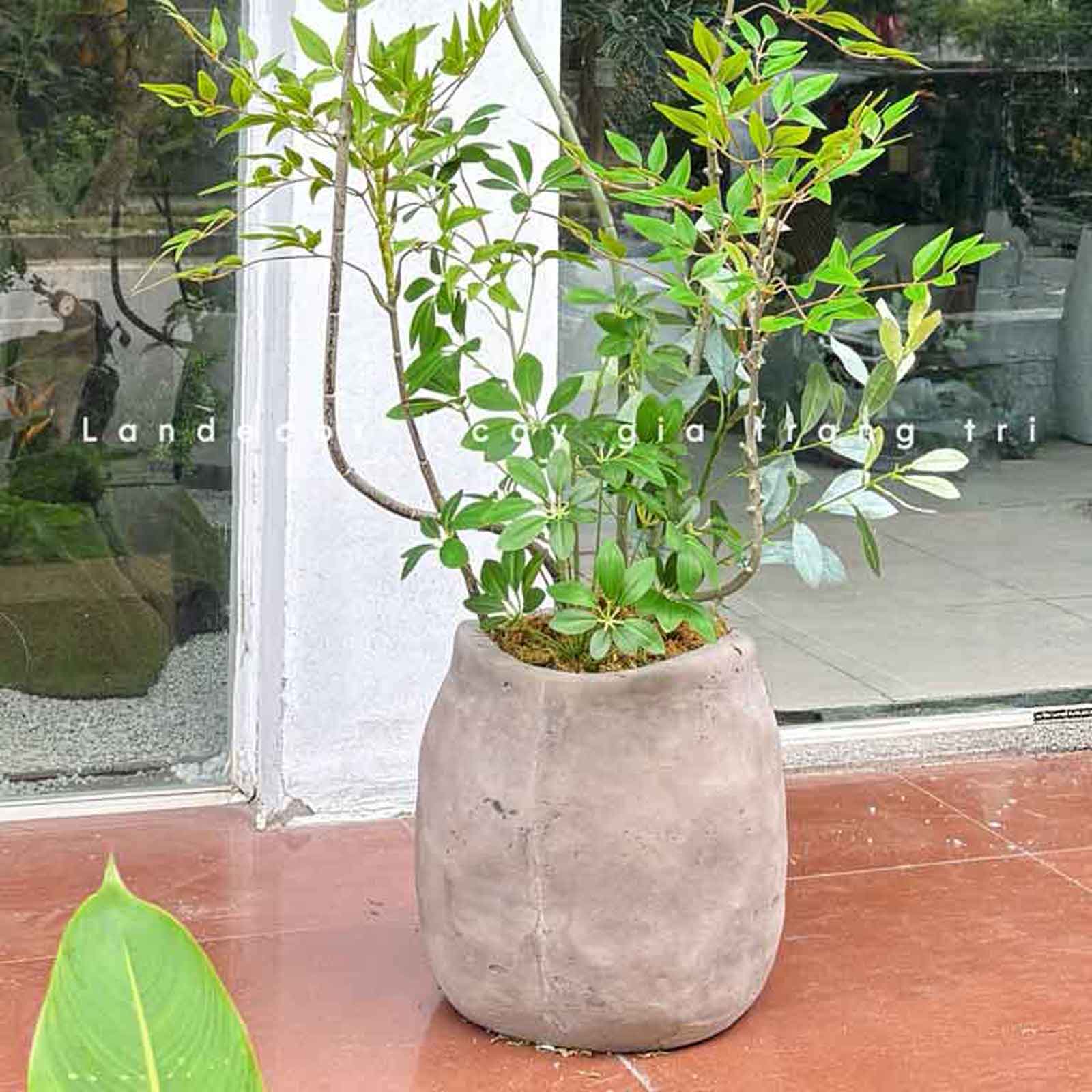Chậu Xi Măng Trồng Cây Cảnh Phong Cách Retro (26x30cm)- CXM050