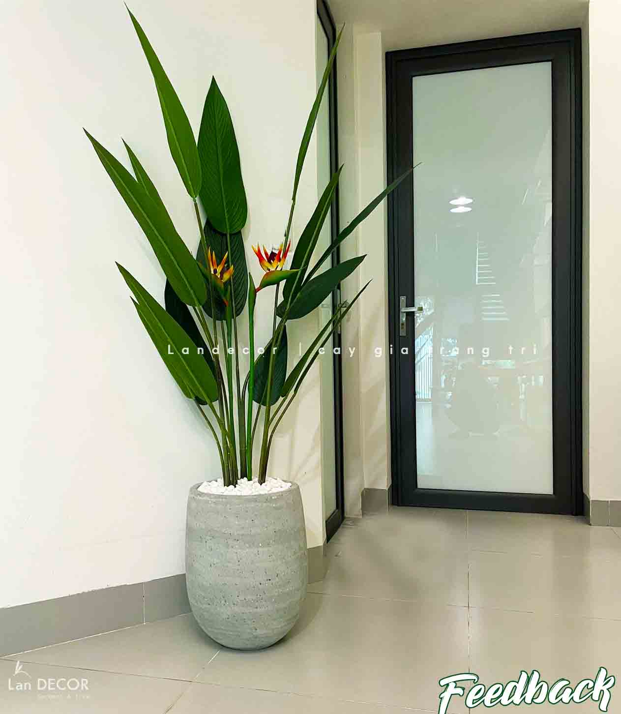 Cây chuối thiên điểu trang trí LanDecor (140cm) - LC3180 mix