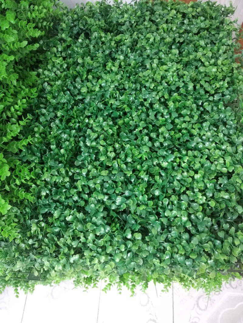 TẤM CỎ GIẢ TRANG TRÍ- CỎ CẢI XOONG ( CỎ MILAN ) - HC324