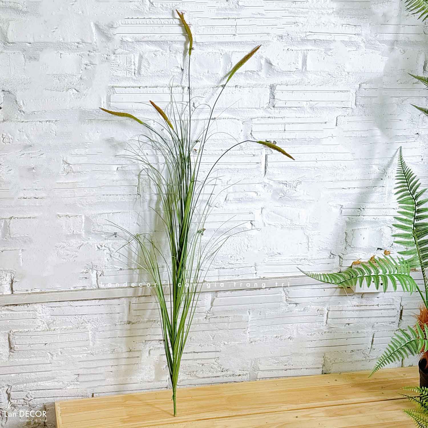 Cỏ Lau Giả- Cành Cỏ Lau Giả Không Lông Thiết Kệ Ụ Rêu Tiểu Cảnh, Decor Kệ Cây- CC1088