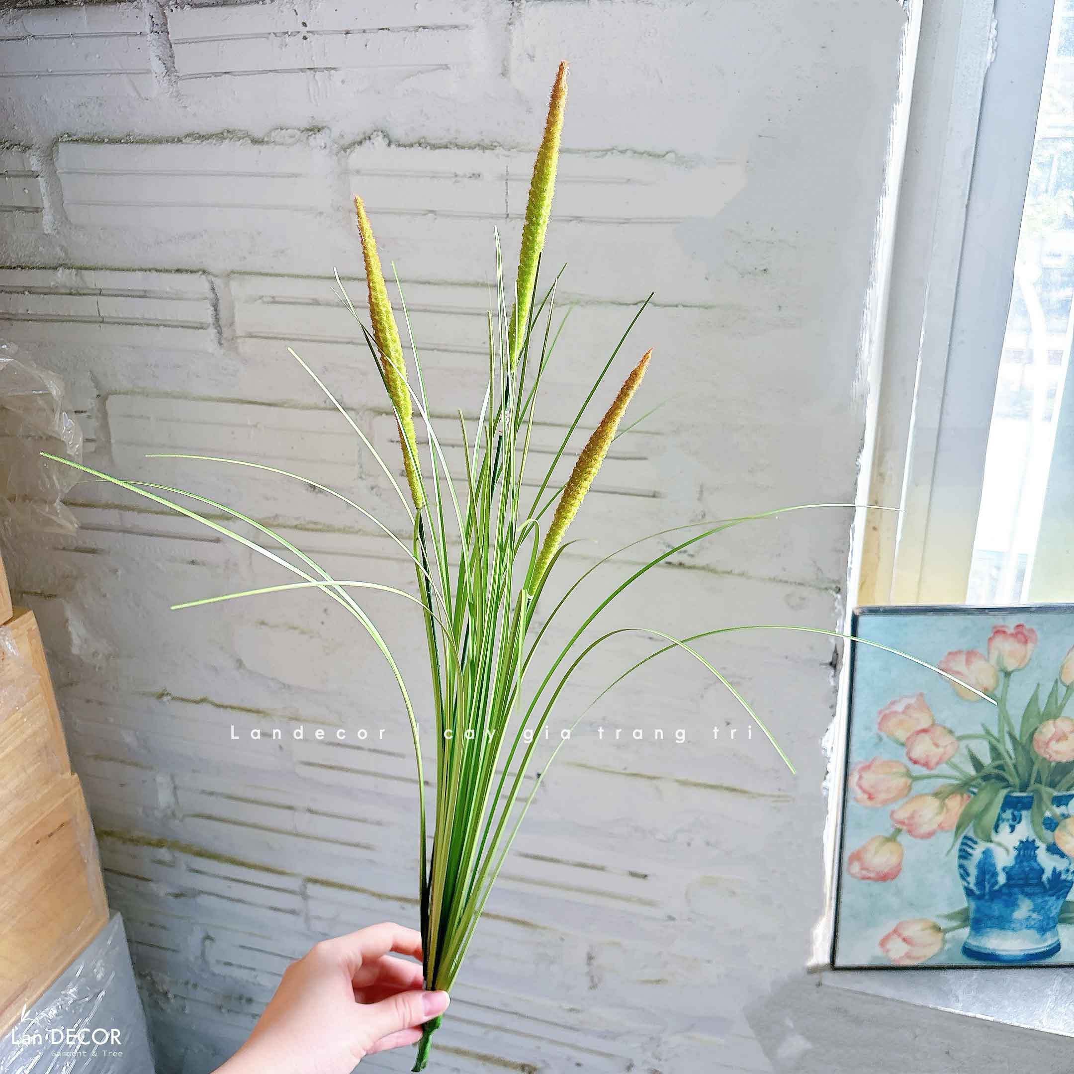 Cỏ Lau Giả- Cành Cỏ Lau Giả Không Lông Thiết Kệ Ụ Rêu Tiểu Cảnh, Decor Kệ Cây- CC1088