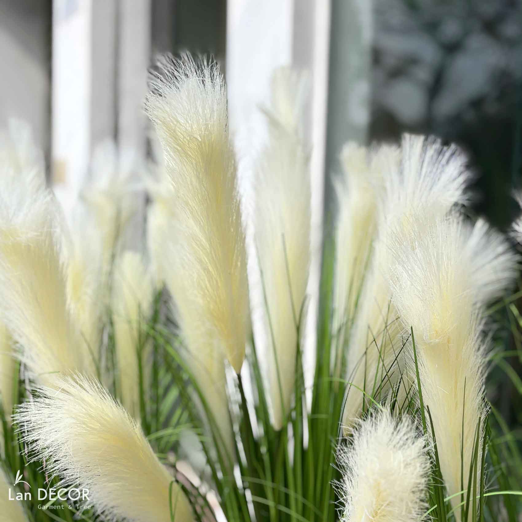 BỒN LAU SẬY TRẮNG TRANG TRÍ TIỂU CẢNH - BC055