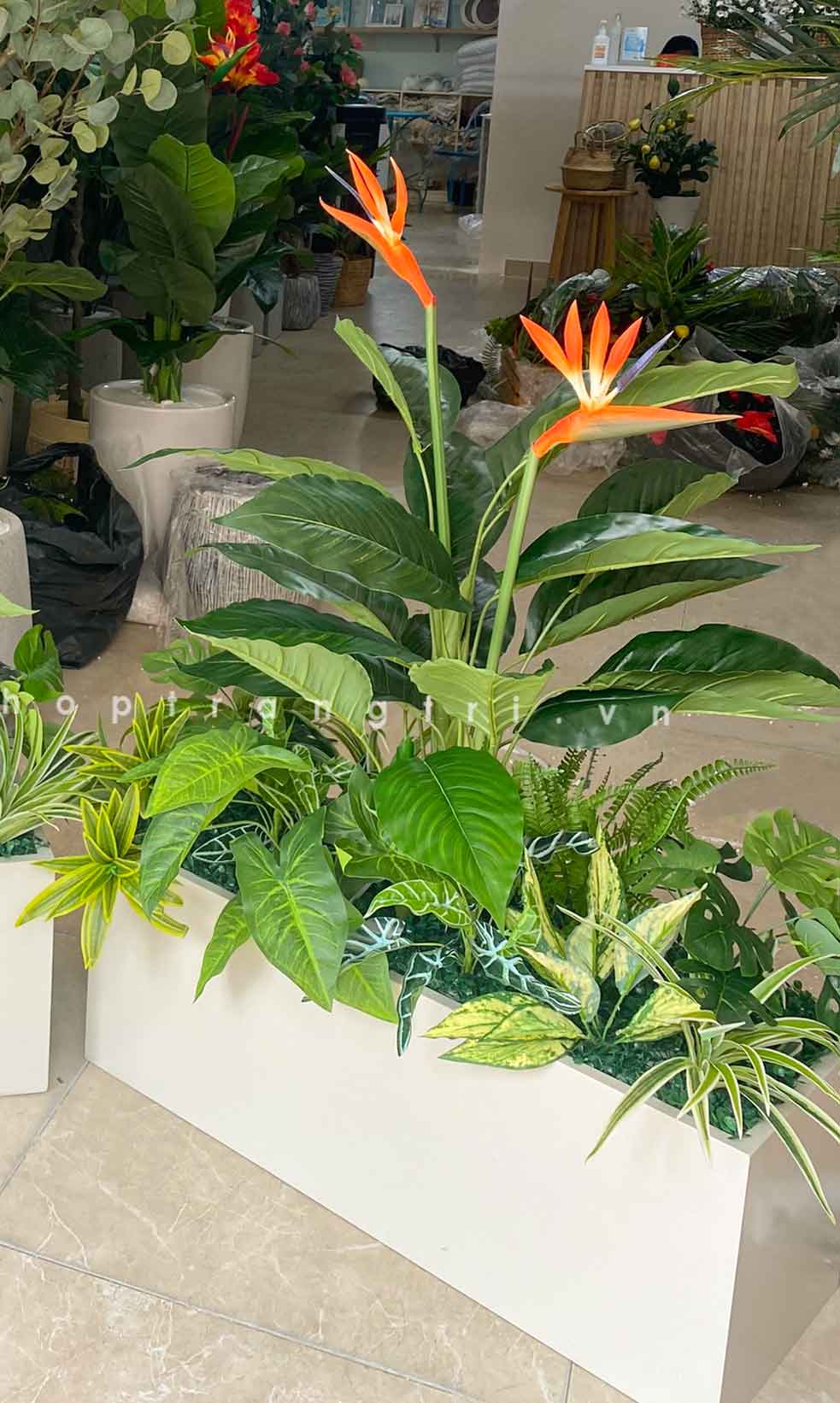 BỒN CÂY LAN Ý MIX TRANG TRÍ KHÔNG GIAN XANH LAN DECOR - BC110