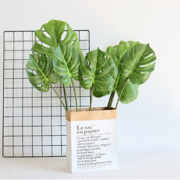 Cụm Monstera Trang Trí Tiểu Cảnh Độc Đáo - HC1005