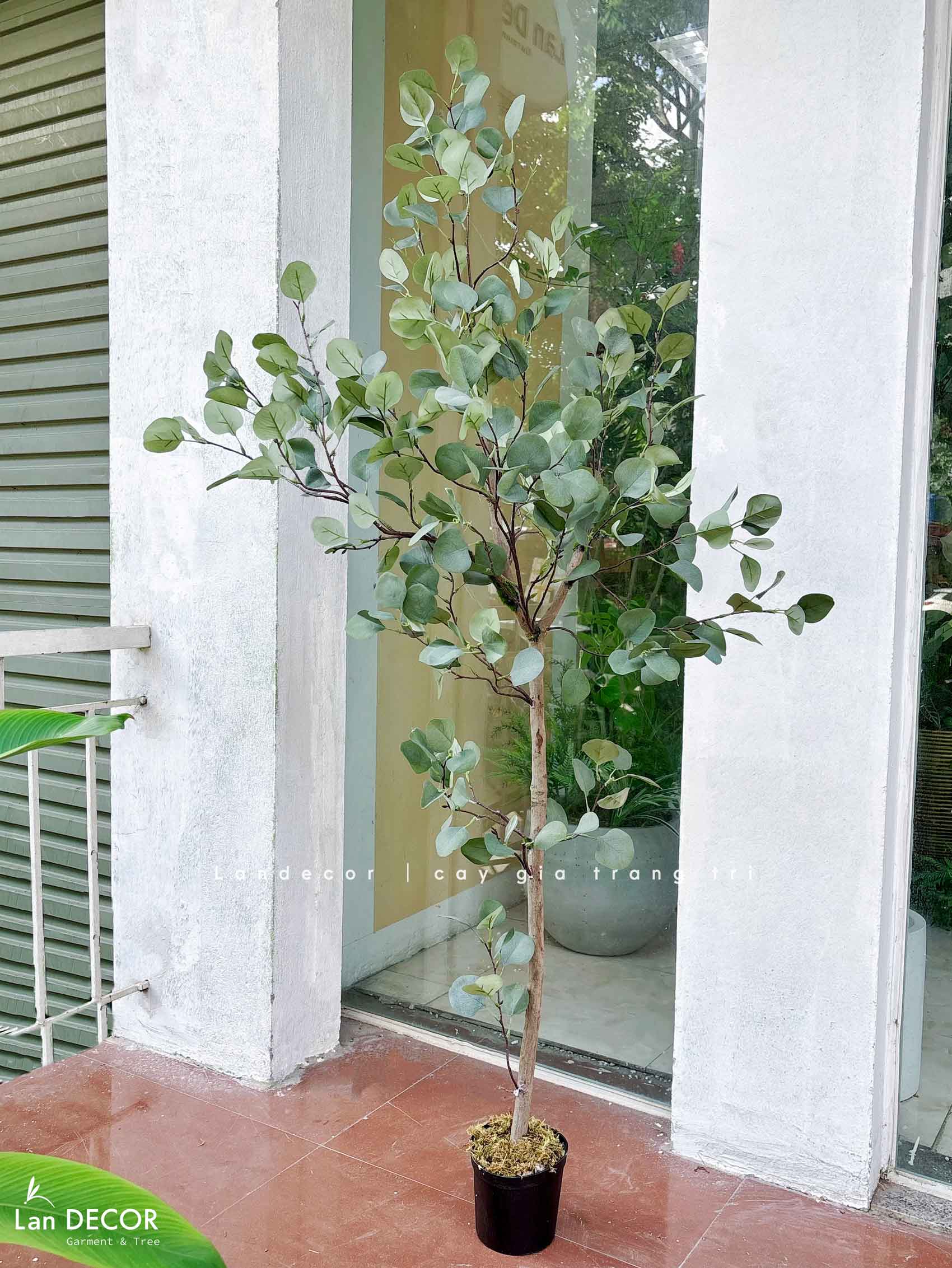 Cây Giả Decor - Cây Bạch Đàn Giả Decor Nội Thất Hiện Đại- CC1443