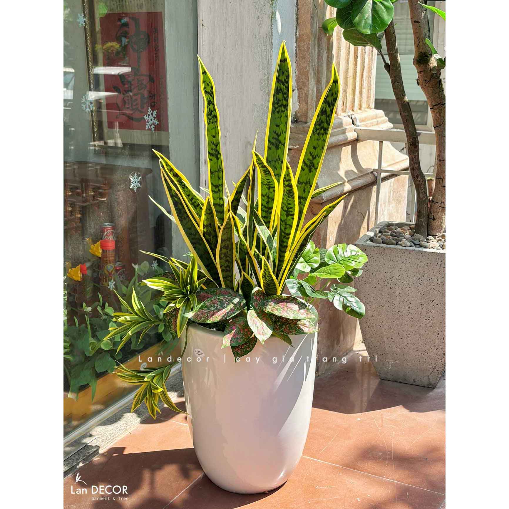 Cây Giả Tiểu Cảnh - Cây Lưỡi Hổ Giả Trang Trí Văn Phòng Xanh (120cm)- CC1489
