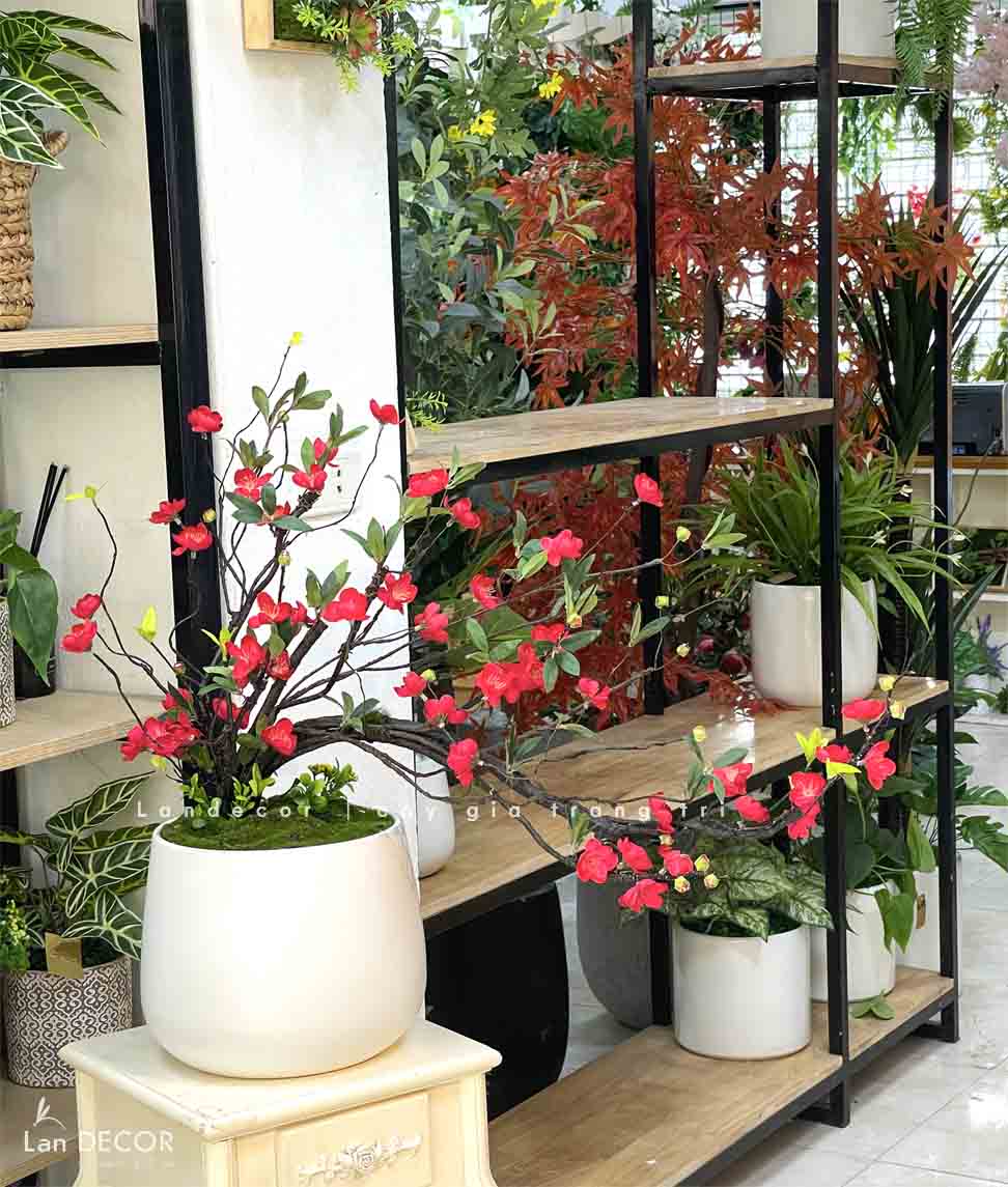 CHẬU HOA MAI, ĐÀO TRANG TRÍ NGÀY TẾT ĐÓN NĂM MỚI (60cm)- BH1194