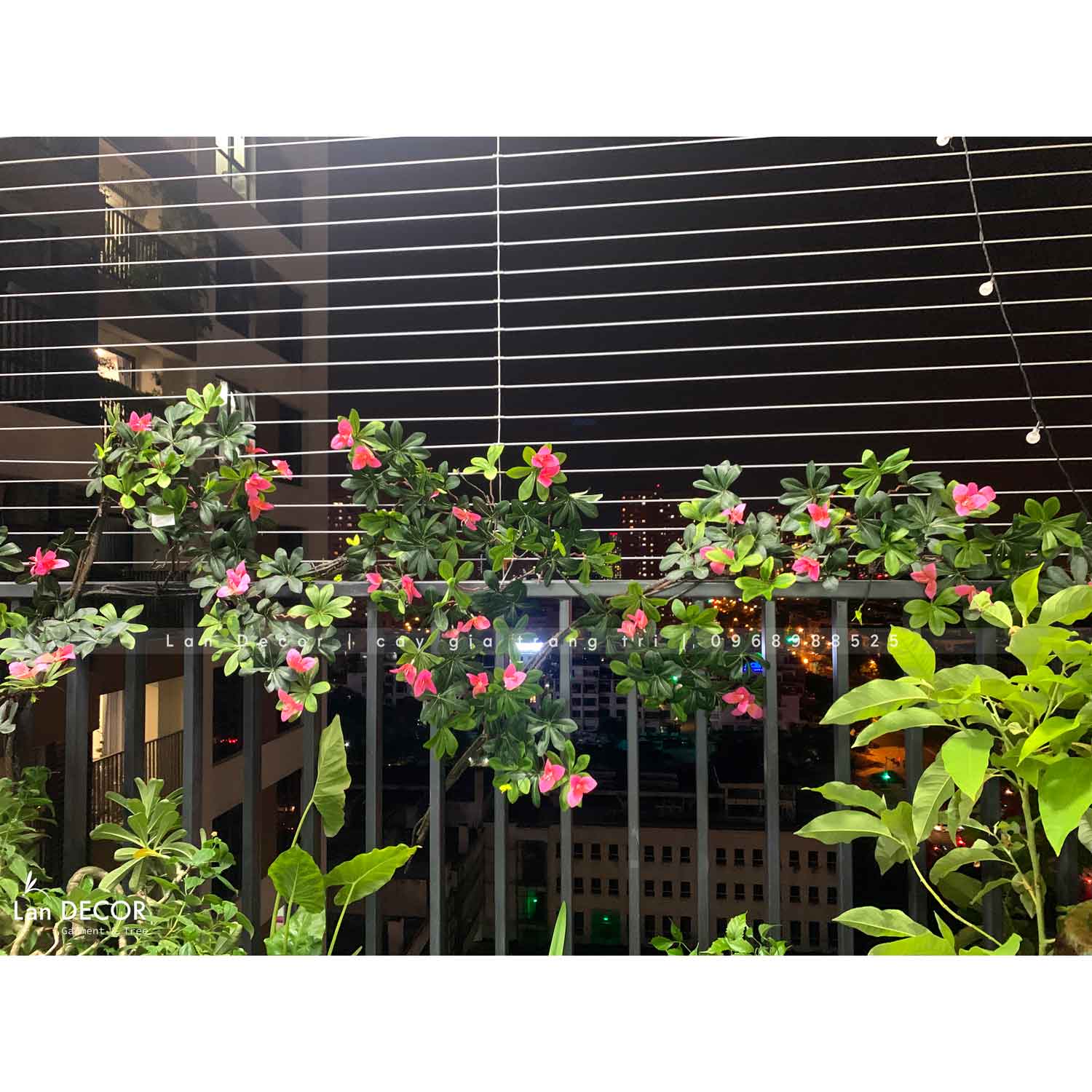 Mẫu cây leo, giàn cây leo, thả trần trang trí tường, đẹp tự nhiên