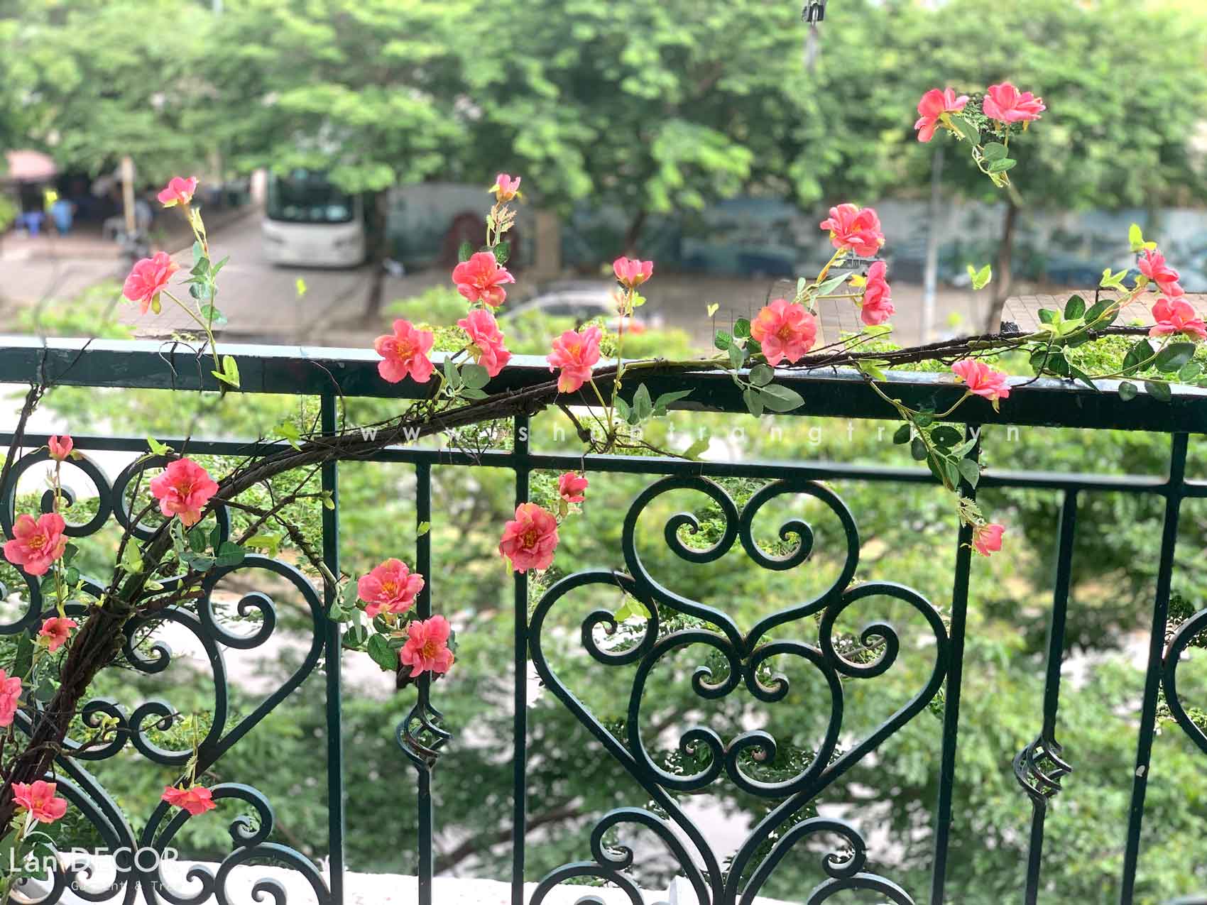 Mẫu cây leo, giàn cây leo, thả trần trang trí tường, đẹp tự nhiên