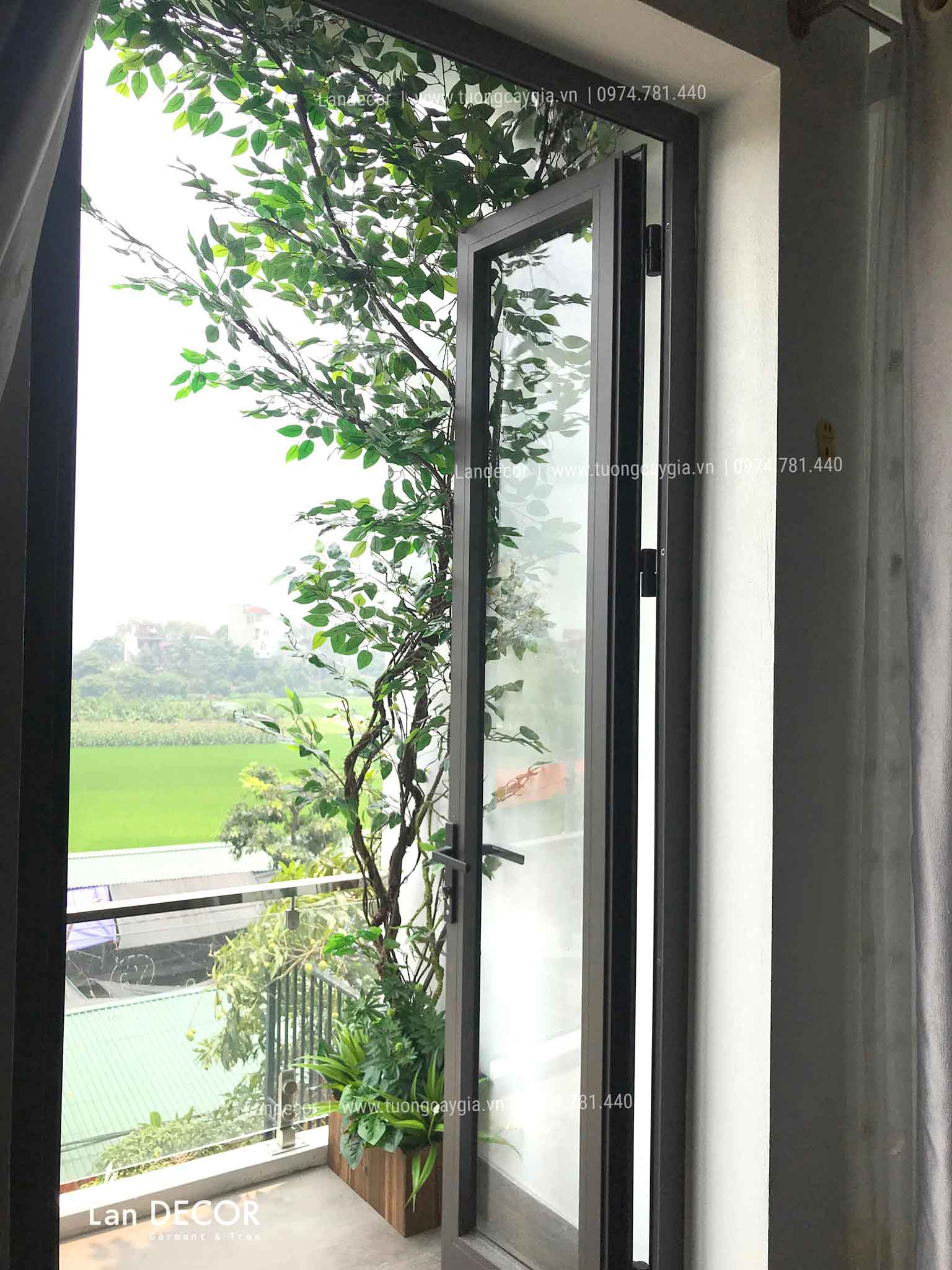 Mẫu cây leo, giàn cây leo, thả trần trang trí tường, đẹp tự nhiên