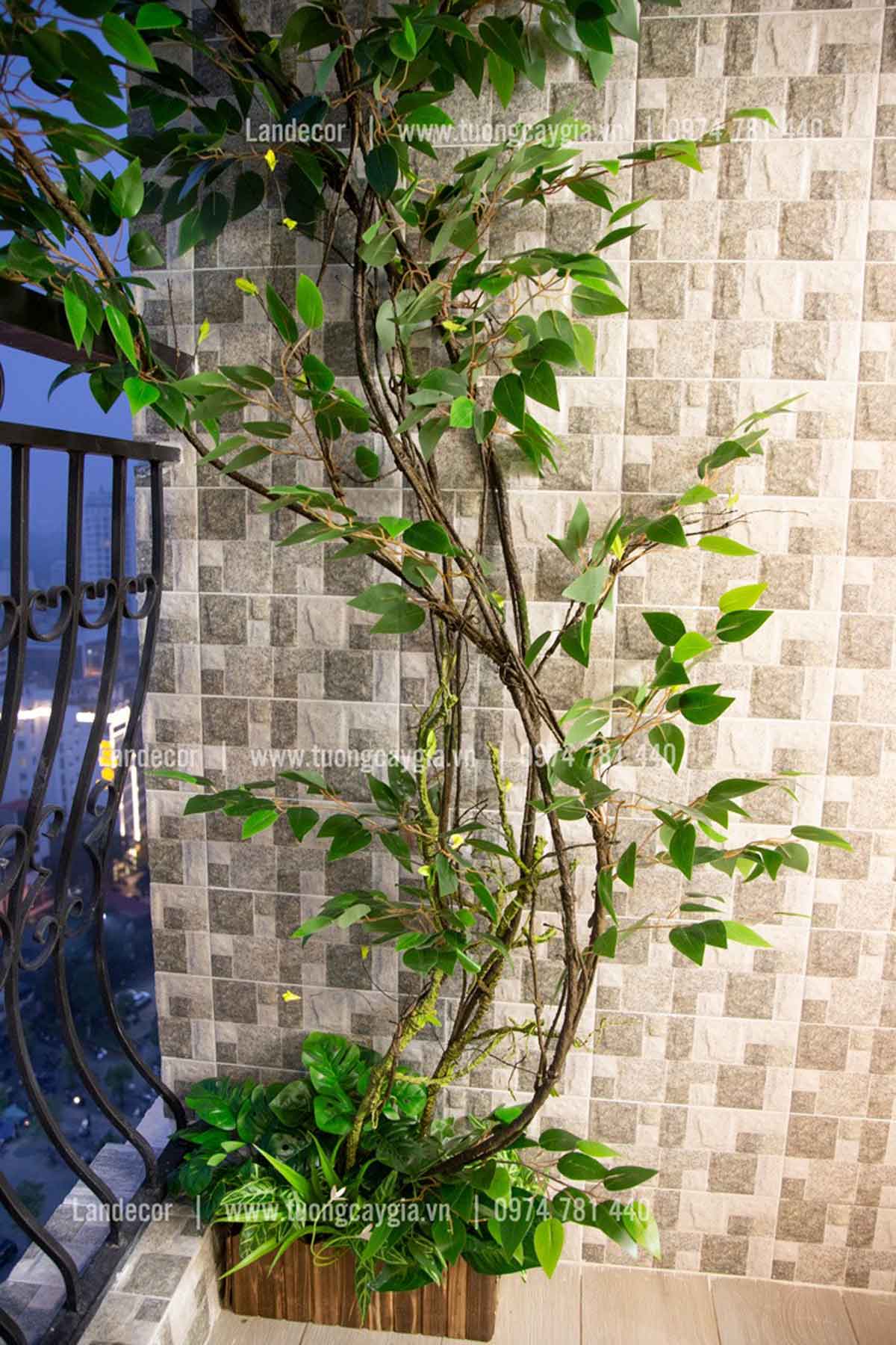 Mẫu cây leo, giàn cây leo, thả trần trang trí tường, đẹp tự nhiên