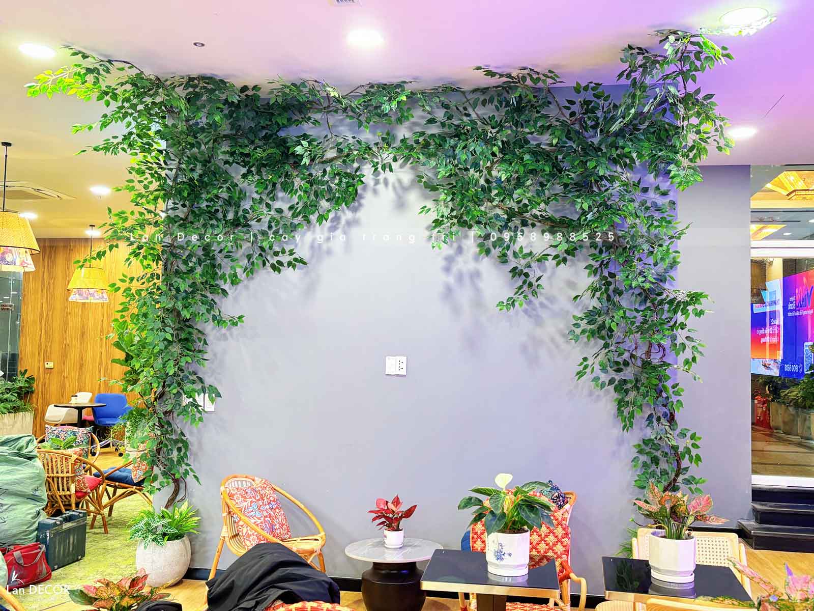 Thiết Kế, Thi Công Tiểu Cảnh Cây Leo Rủ, Kiến Tạo Văn Phòng Xanh - Văn Phòng Vikki Hà Nội