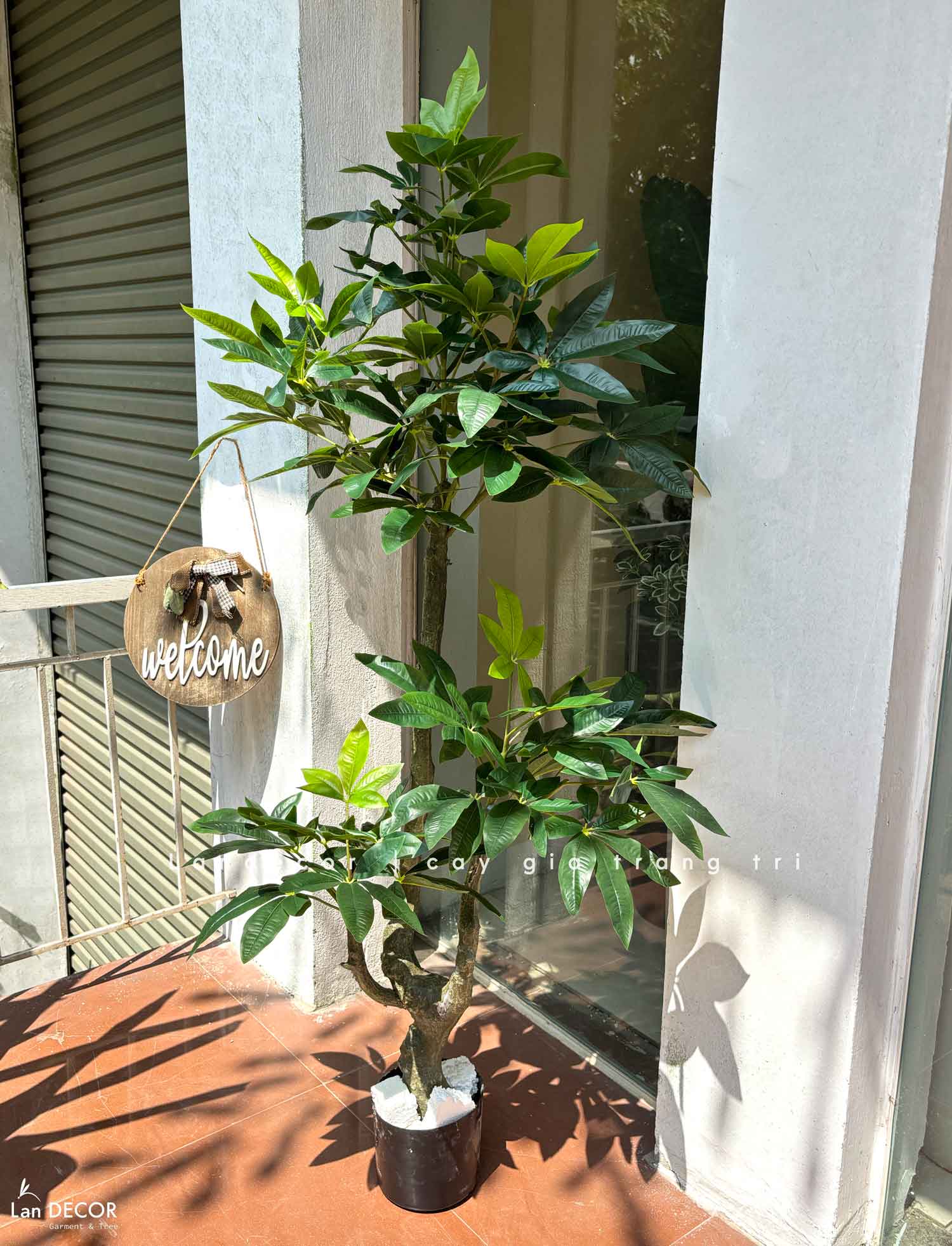 Cây Giả Decor- Chậu Cây Kim Ngân Giả Decor Phòng Khách Căn Hộ- CC1496
