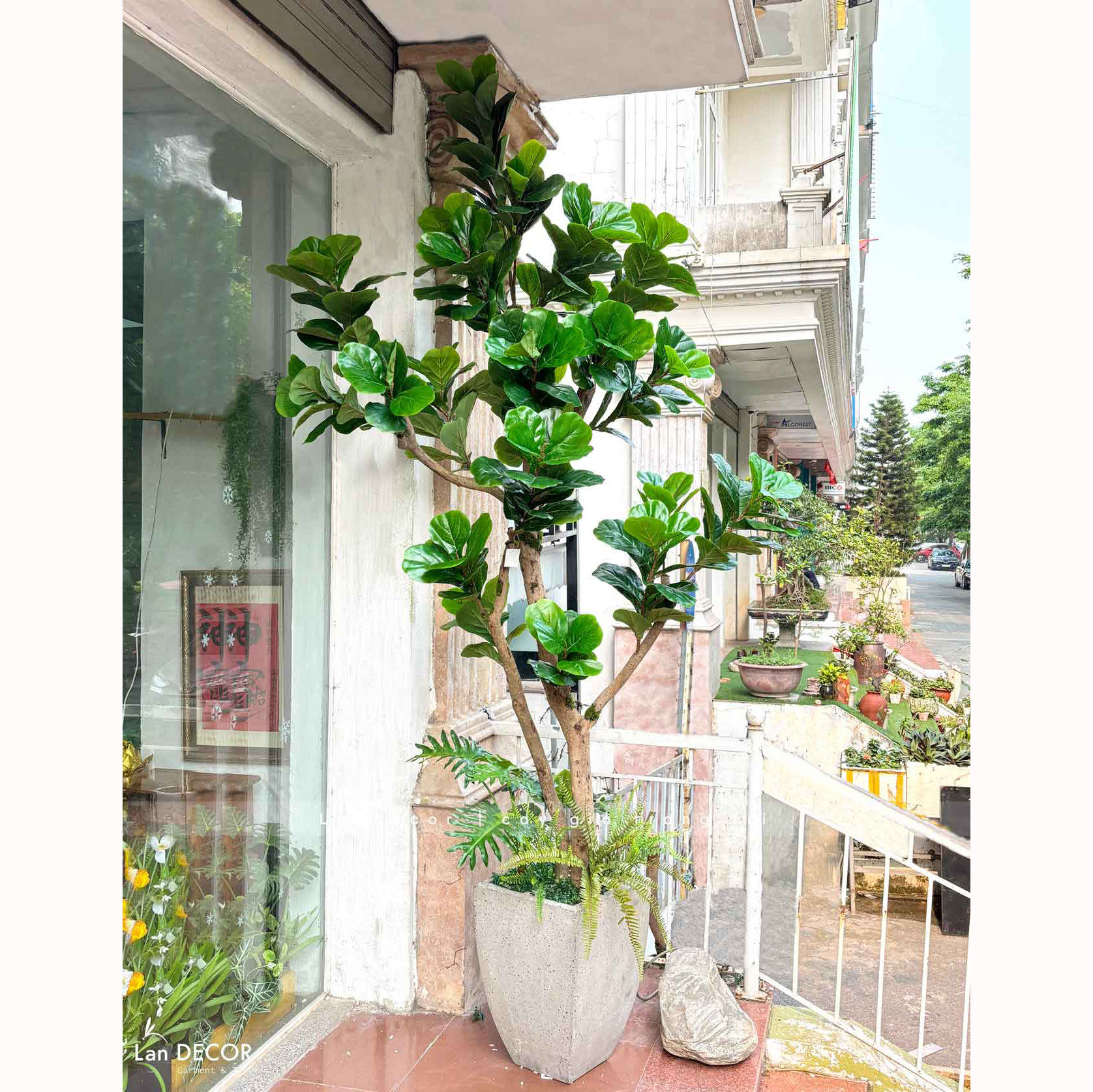 Cây Bàng Giả Decor- Cây Bàng Giả Trang Trí Tiểu Cảnh Cửa Hiệu (240cm)- CC1294
