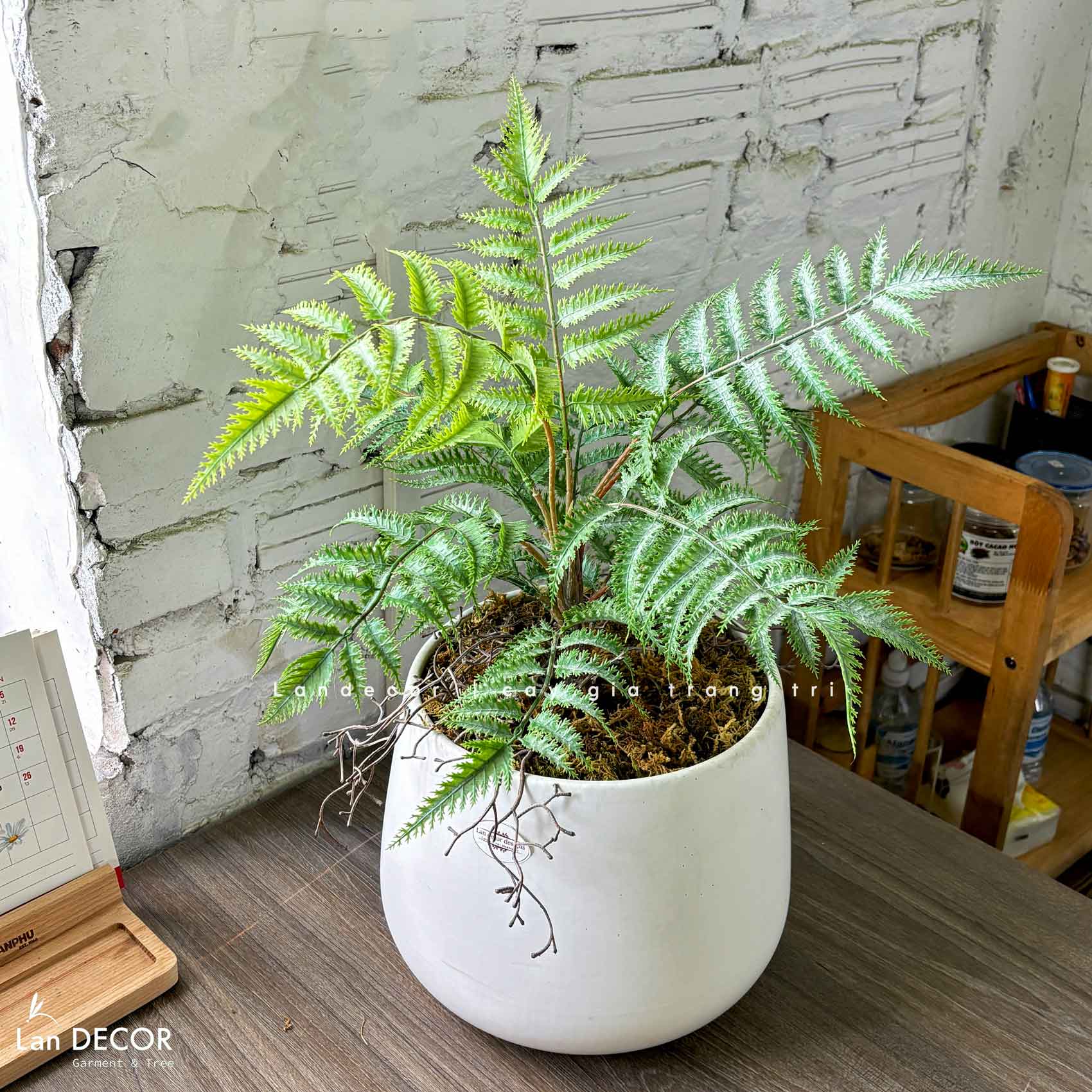 Cây Giả Để Bàn- Chậu Cây Dương Xỉ Răng Cưa Giả Decor Không Gian Xanh (45cm)- CC1464