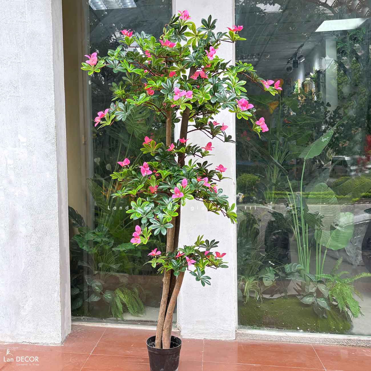 Cây hoa Đỗ Quyên cây cảnh trang trí 165 cm - LC2450