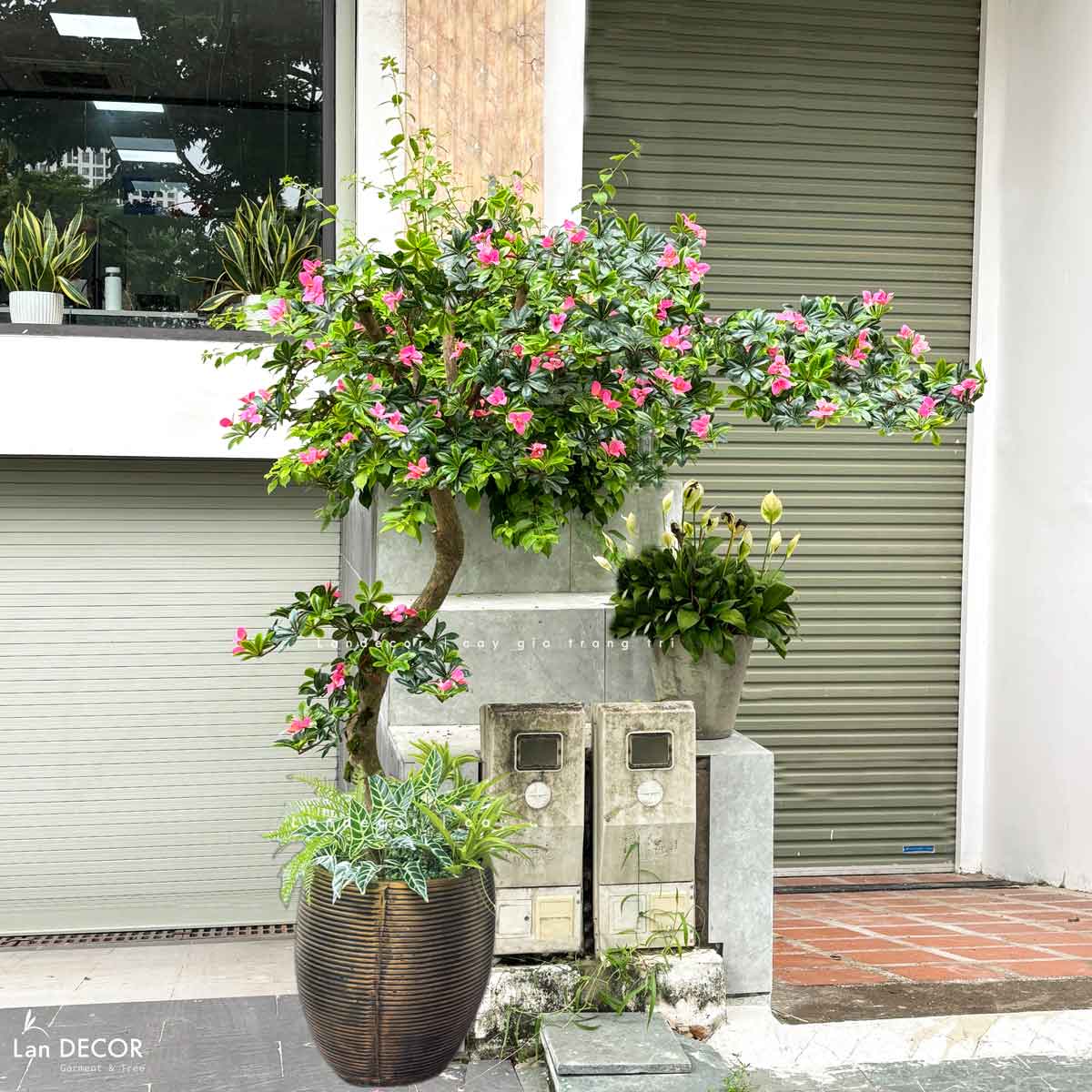 Cây Giả Tiểu Cảnh - Cây Đỗ Quyên Dáng Huyền Trang Trí Tiểu Cảnh Ấn Tượng (200cm)- CC1090