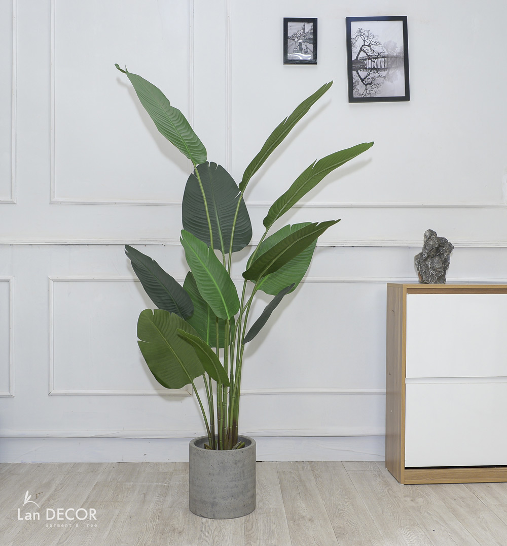 Cây chuối rẻ quạt đẹp hiện đại trang trí 1m8 - LC3019 (Gồm 12 lá)
