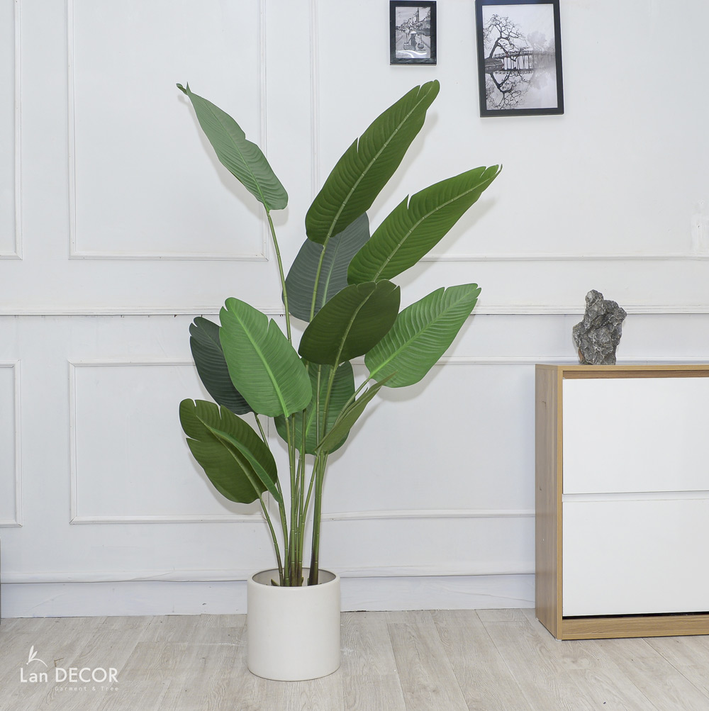 Cây chuối rẻ quạt đẹp hiện đại trang trí 1m8 - LC3019 (Gồm 12 lá)