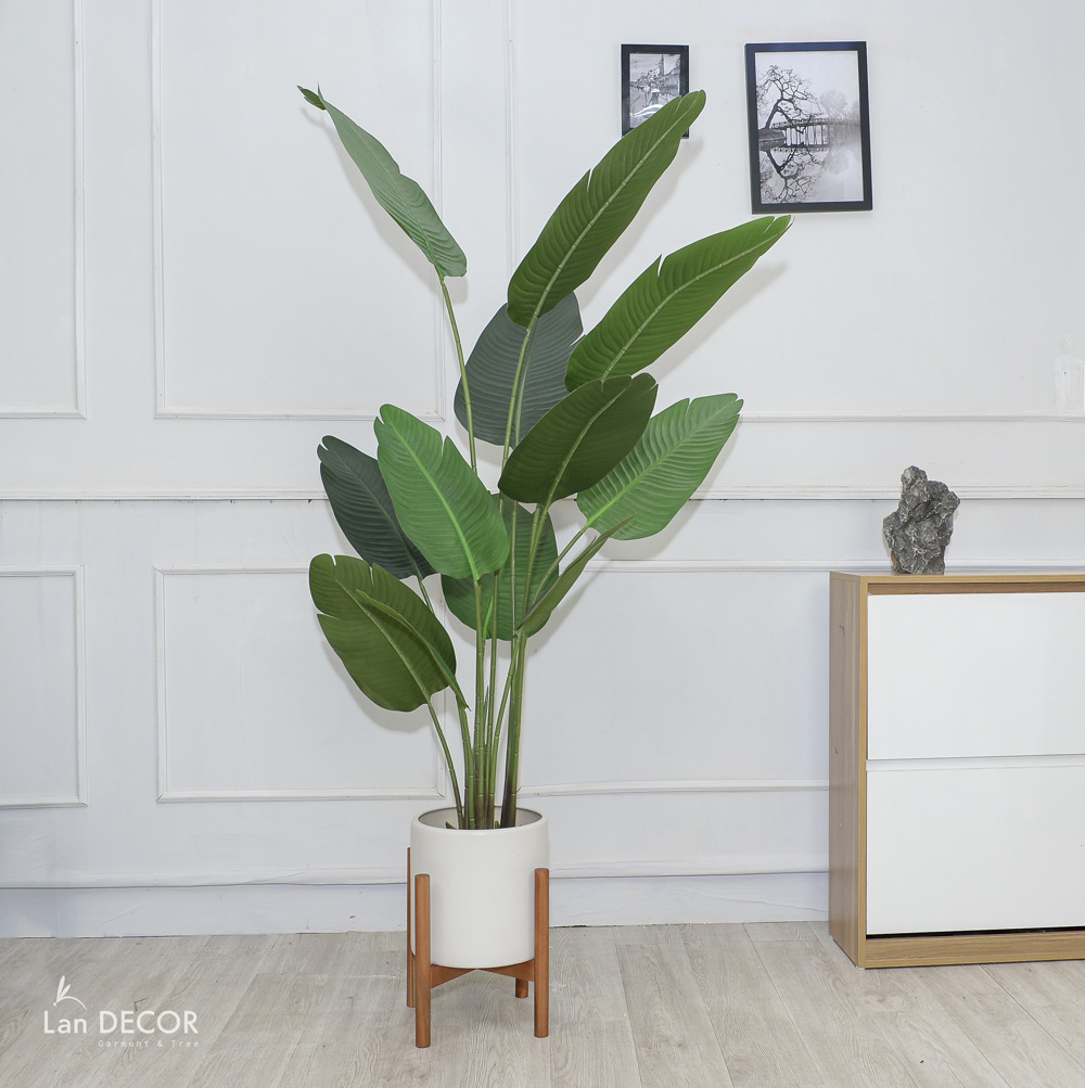 CÂY CHUỐI RẺ QUẠT TRANG TRÍ 1M6 (gồm 3 nhánh) - LC3017