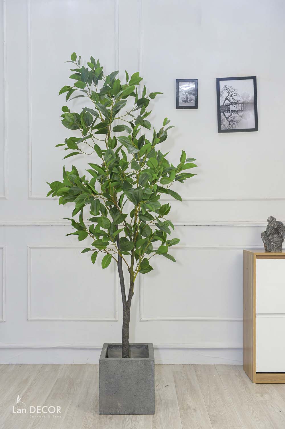 CÂY LÁ MỘC   (210cm) - LC5866