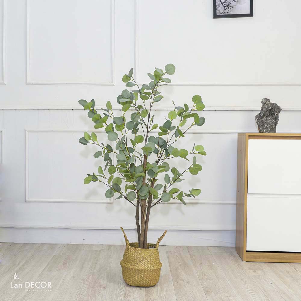Cây kim tiền lá tròn phong cách Bắc Âu đẹp 120cm - LC3000