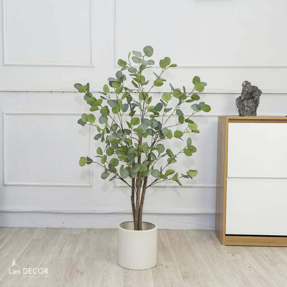 Cây kim tiền lá tròn phong cách Bắc Âu đẹp 120cm - LC3000