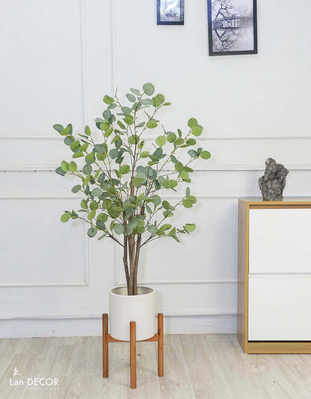 Cây kim tiền lá tròn phong cách Bắc Âu đẹp 120cm - LC3000