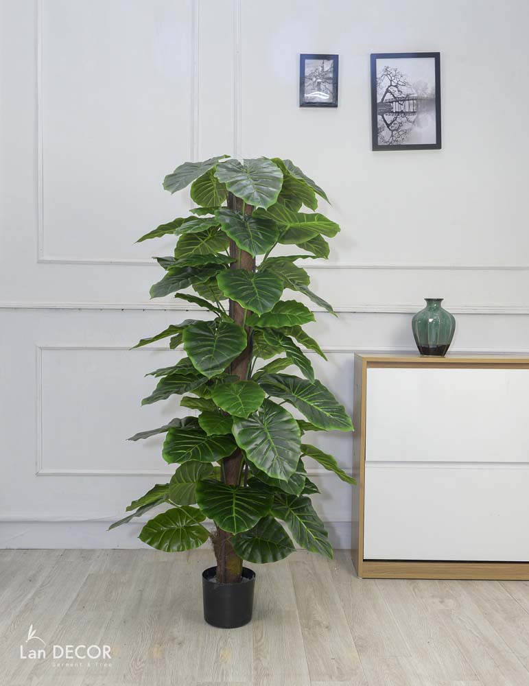 CÂY TRẦU BÀ CỘT TRANG TRÍ NỘI THẤT ĐẸP (145cm) - LC1992-1
