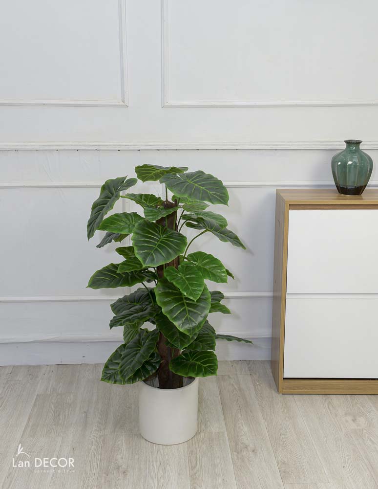 CÂY TRẦU BÀ CỘT (95cm) - LC2054-1