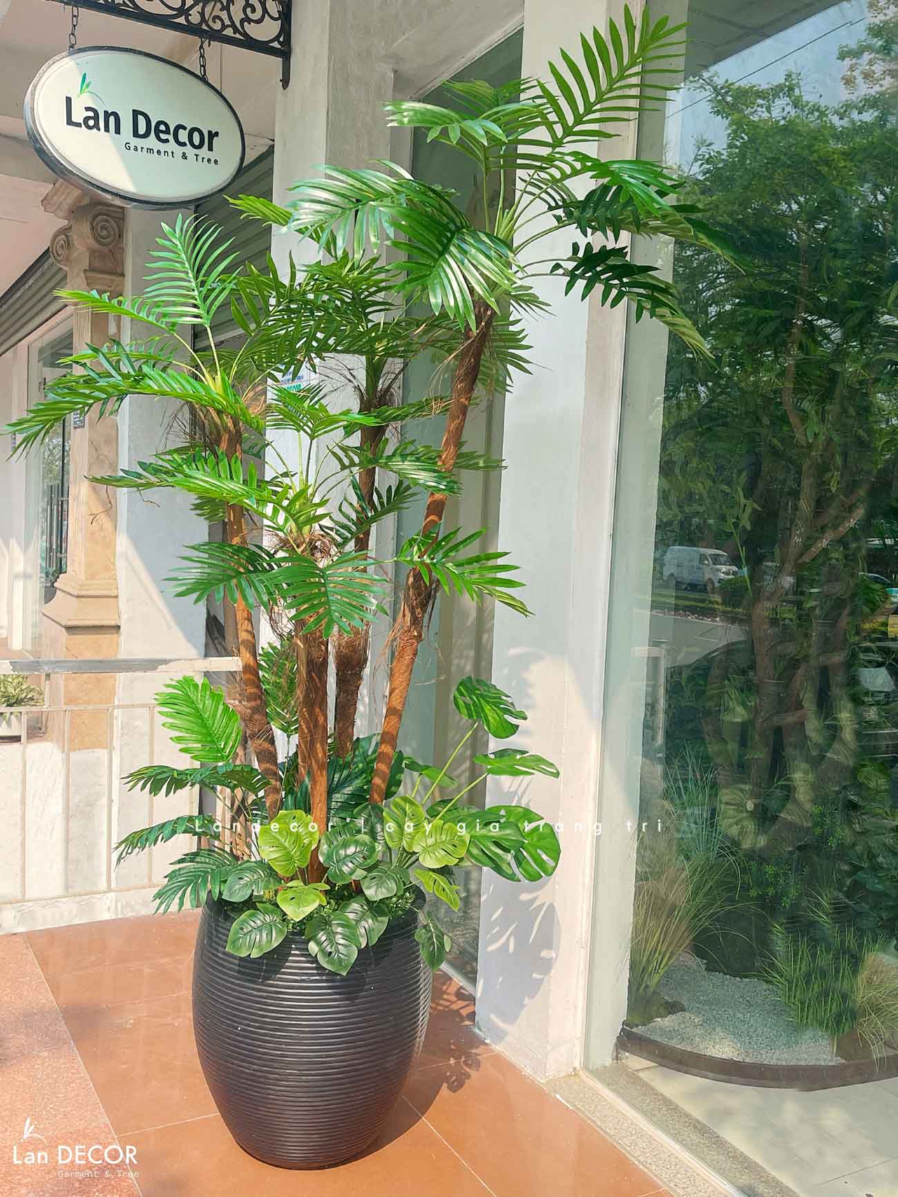 Dừa Cảnh Giả - Cây Dừa Giả Trang Trí Văn Phòng Tạo Điểm Nhấn Tinh Tế (180cm)- LC2962