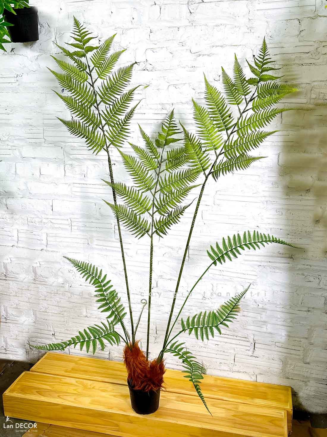 Dương Xỉ Giả Trang Trí- Dương Xỉ Culi Tiểu Cảnh Thiết Kế Không Gian Xanh (155cm)- CC1122