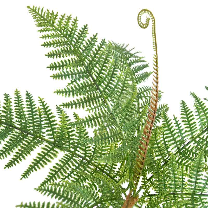 Cành Lá Trang Trí Tự Nhiên, Cành Dương Xỉ Cuộn 7 Lá- HC853