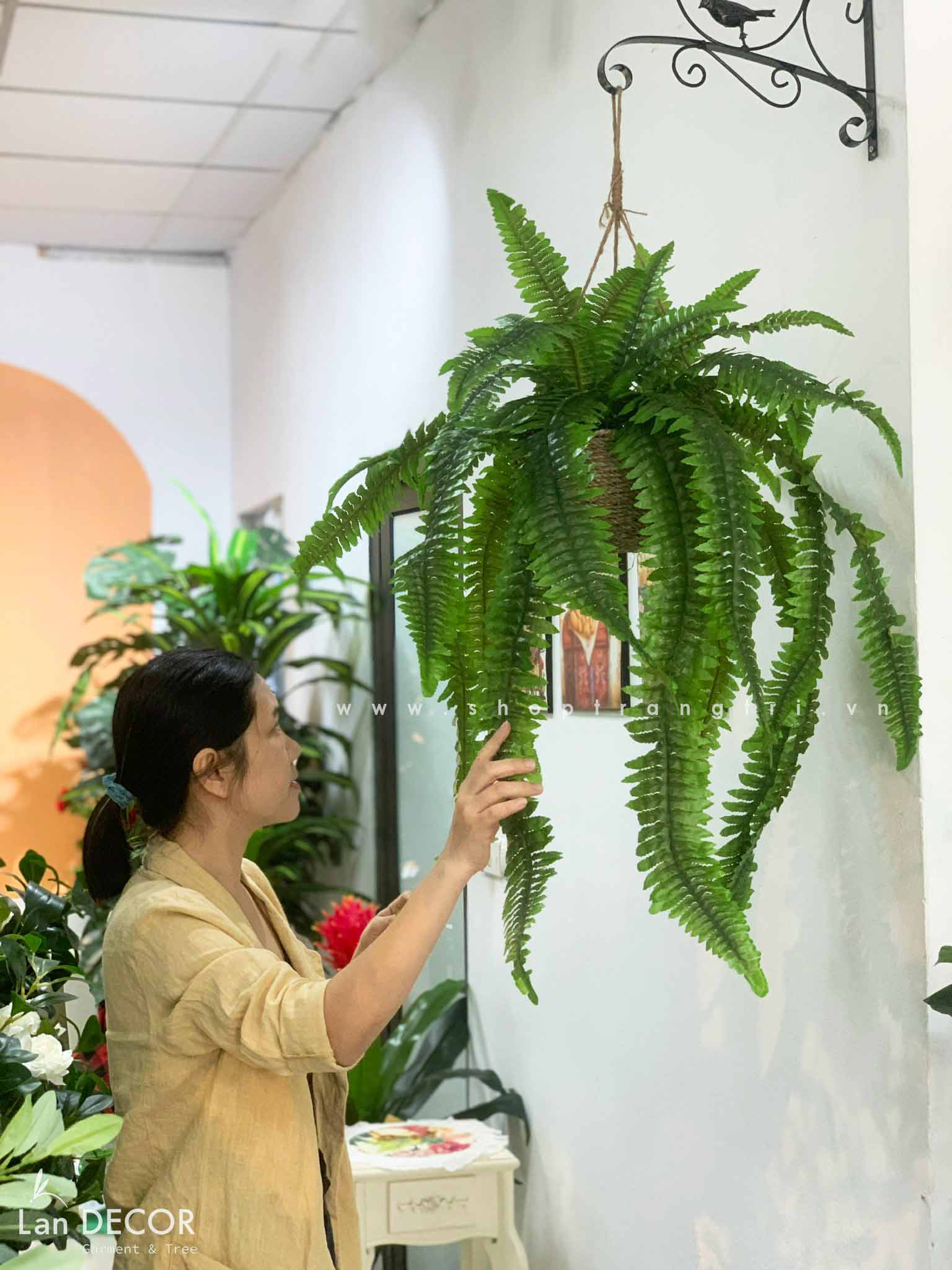 GIÁ TREO CÂY DƯƠNG XỈ CỔ ĐẠI TRANG TRÍ TIỂU CẢNH - BC047